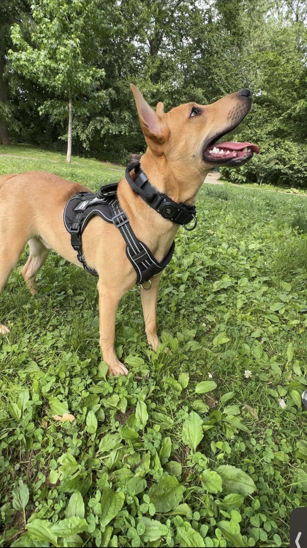 2026 Upgrade Waterproof AirTag Dog Collar, Military Tactical Dog Collar with AirTag Holder, Comfortable Control Handle and Metal Buckle, GPS Dog Collar Holder for Medium to Large Dogs (Khaki,L) customer photo 1