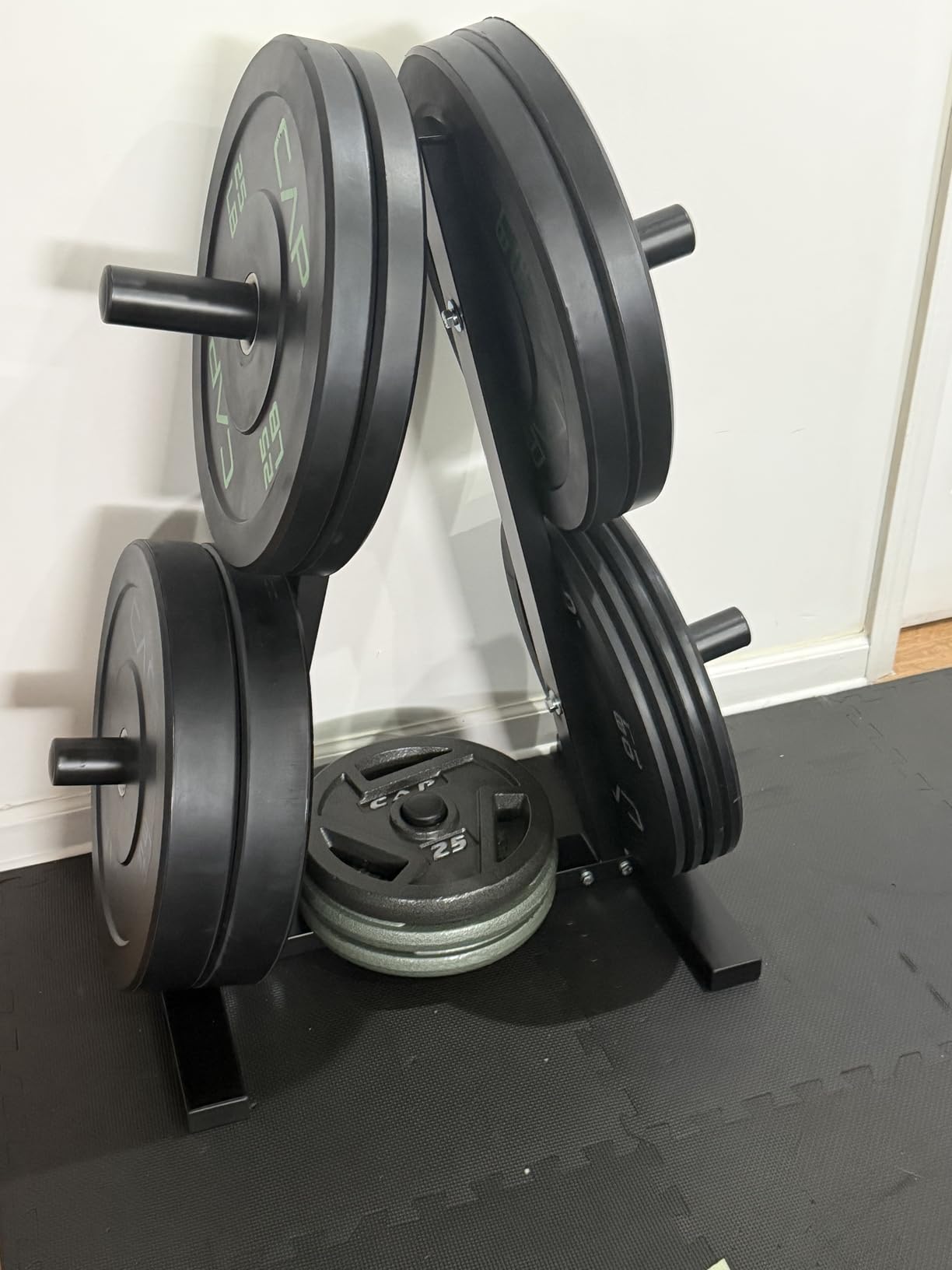 Amazon Basics Weight Plate Tree Rack customer photo 2