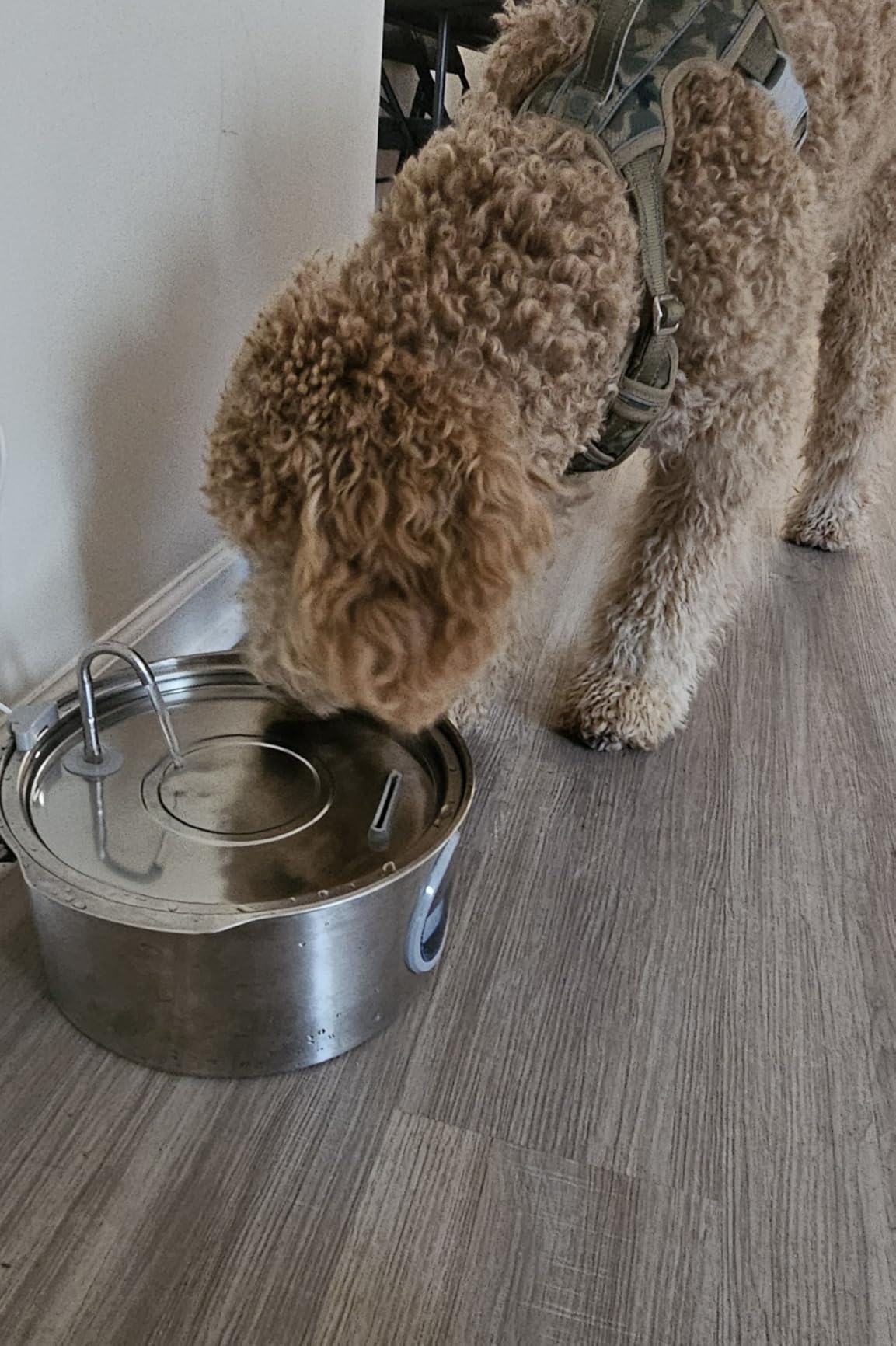 Dog Water Fountain for Large Dogs: 7L/236oz/1.8G Dog Fountain Stainless Steel - Big Cat Drinking Fountain Indoor - Super Quiet Water Fountain for Dogs Inside - for Large Dog Cats & Multi-Pet Home customer photo 2