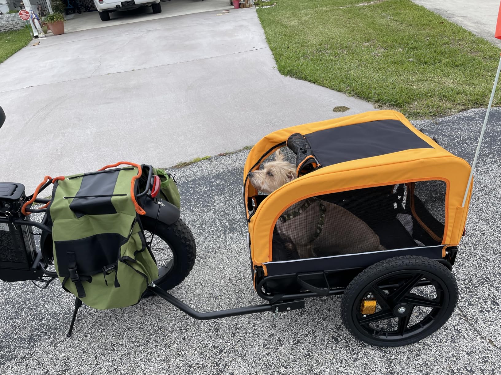 Sepnine Dog Bike Trailer, Dog Cart for Bicycle, Suitable for Small and Medium Pets, Easy Folding Cart Frame, Quick Release Wheel, Non-Slip Floor, 66LBS customer photo 1