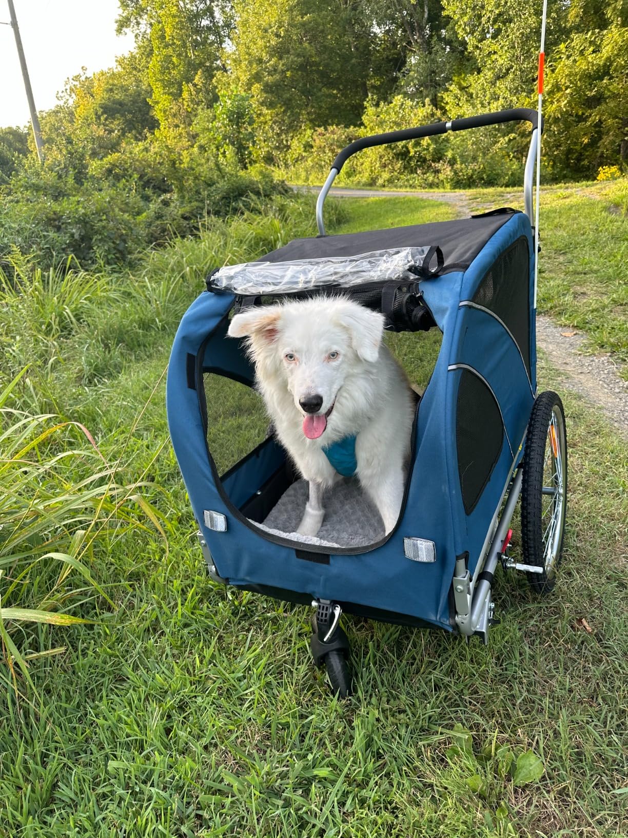 Sepnine Dog Bike Trailer, Dog Cart for Bicycle, Suitable for Small and Medium Pets, Easy Folding Cart Frame, Quick Release Wheel, Non-Slip Floor, 66LBS customer photo 2