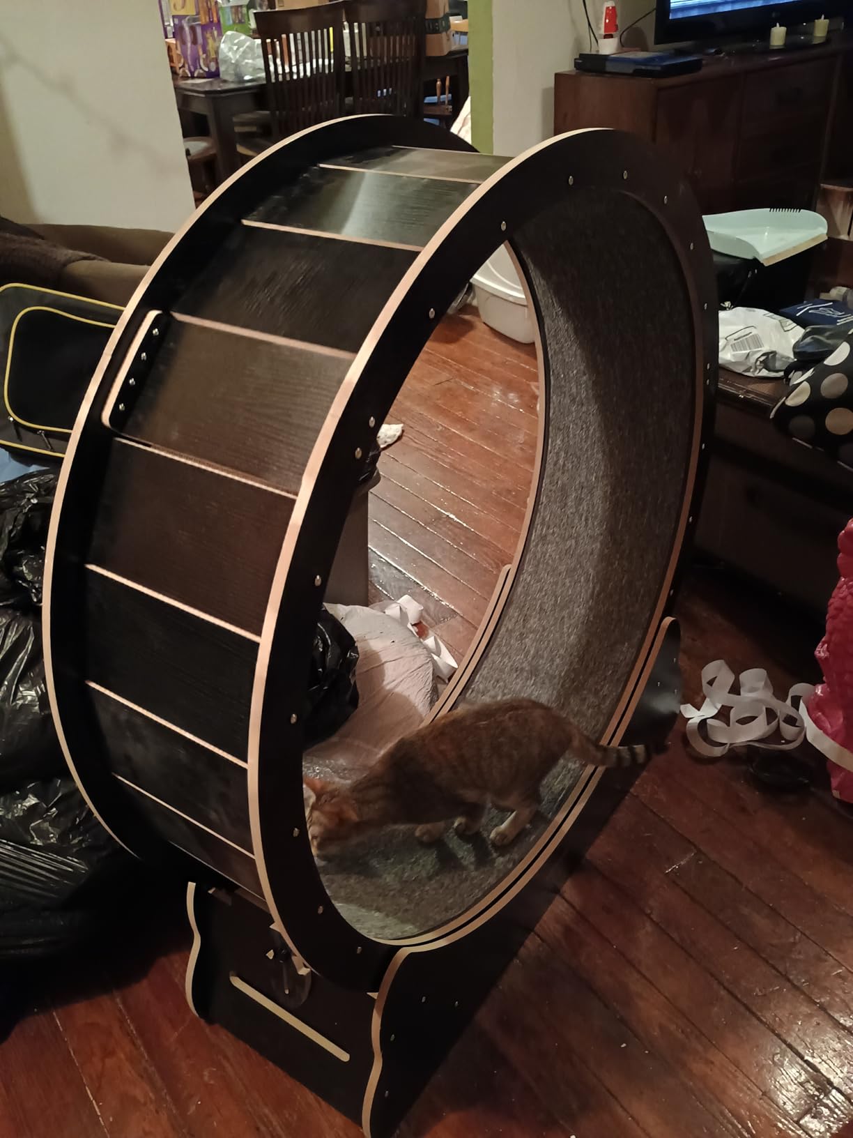 VEVOR Cat Exercise Wheel, 43.3