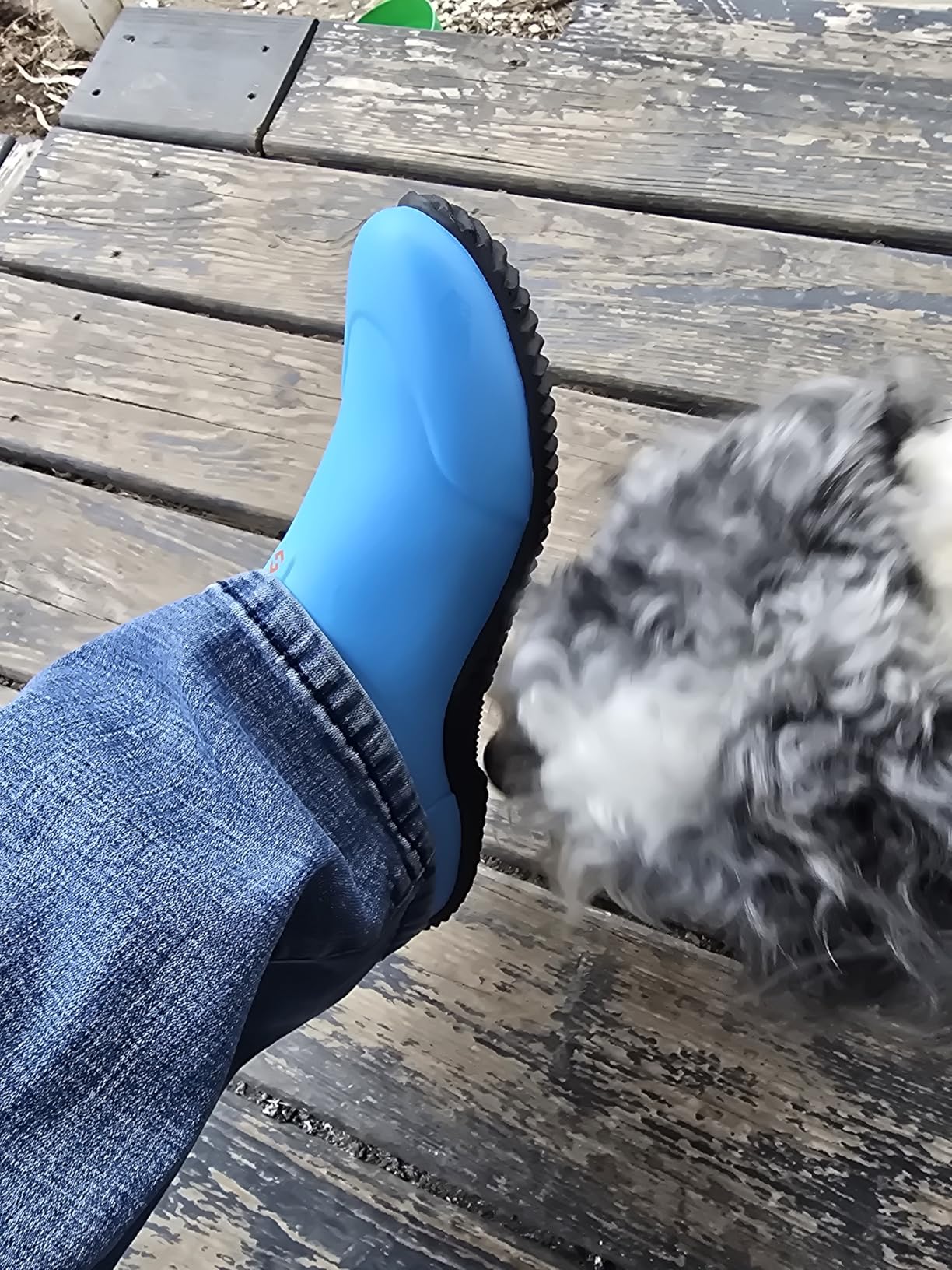 Waterproof Garden Shoes for Women Neoprene Slip-On Rubber Rain Footwear Short Ankle Booties customer photo 1