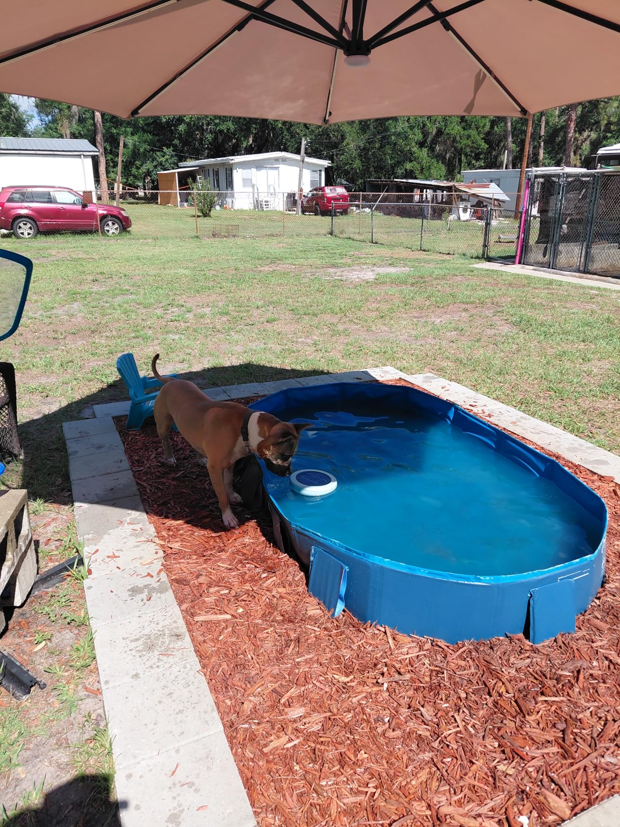 Peteast Foldable Dog Pool - Extra Large 71