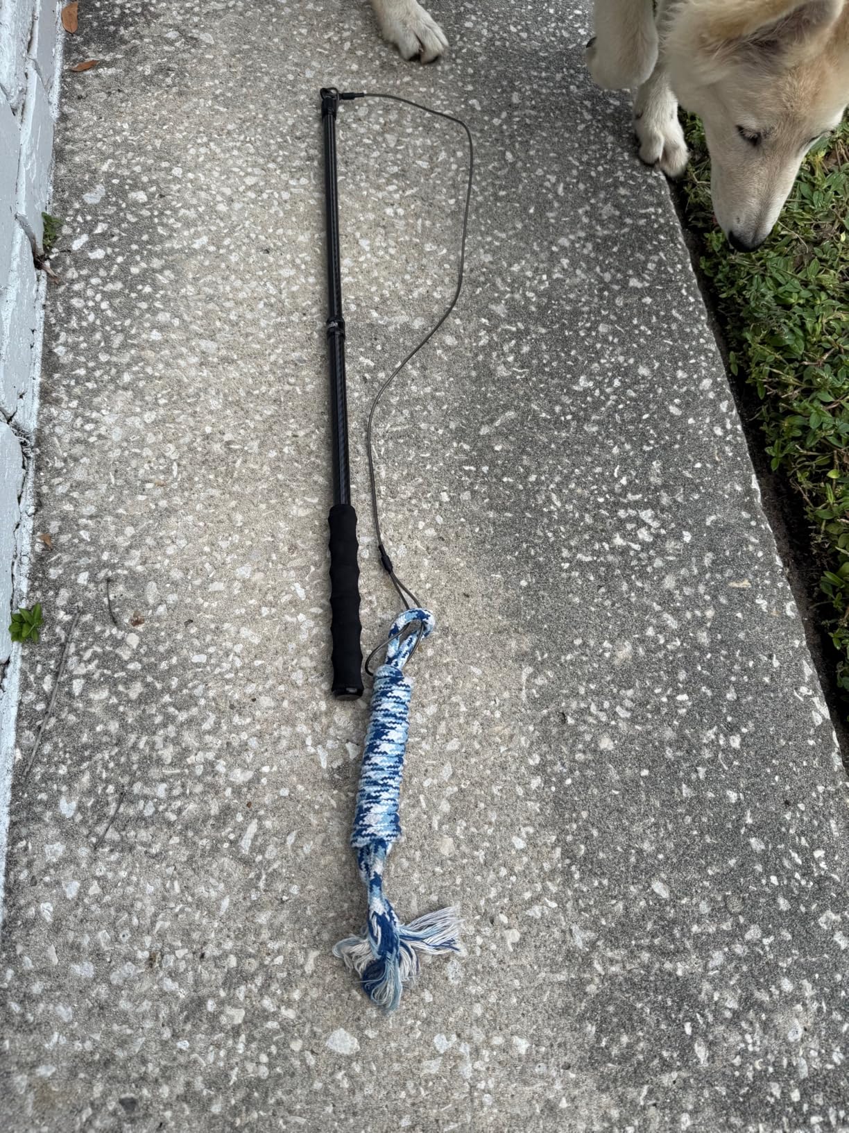 Carbon Fiber Flirt Pole for Dogs, 0.2 Pounds Lightweight Dog Flirt Pole for Large Medium Small Dogs, Telescopic Flirt Stick with 2 Toys & 2 Ropes (28 Inches Pole) customer photo 1