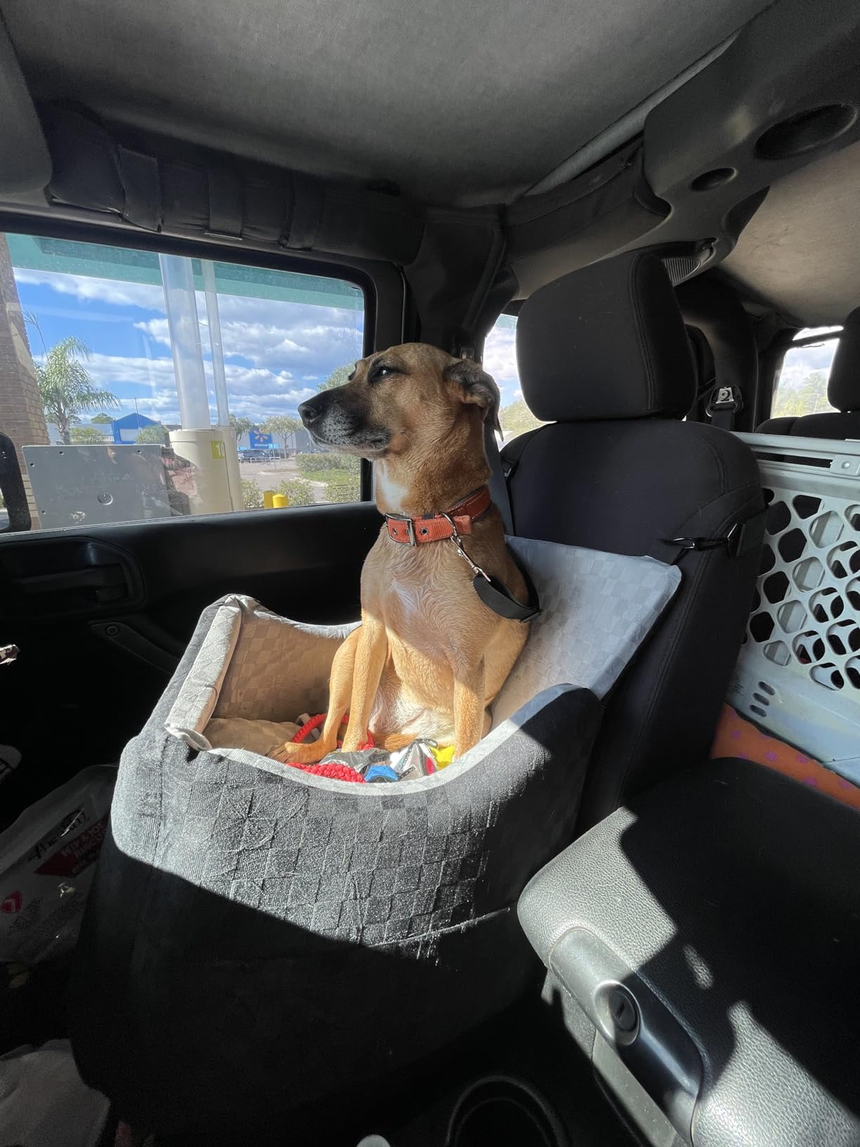 JOEJOY Elevated Dog Car Seat for Small/Medium Dogs up to 35 lbs, Memory Foam Booster Seat with Detachable Washable Cover, Travel-Safe Car Bed with Safety Belts & Storage Pockets, Grey customer photo 2
