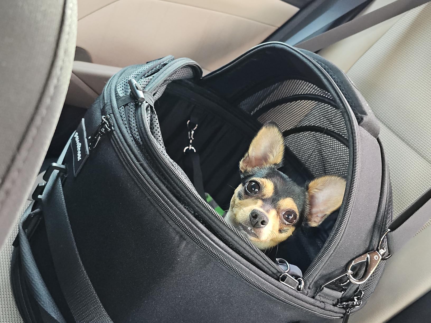 Crash-Tested 3-in-1 Portable Small Dog Car Seat, Cat Bed & Pet Carrier - CPS Certified for Crash Protection & Safe Travel customer photo 2