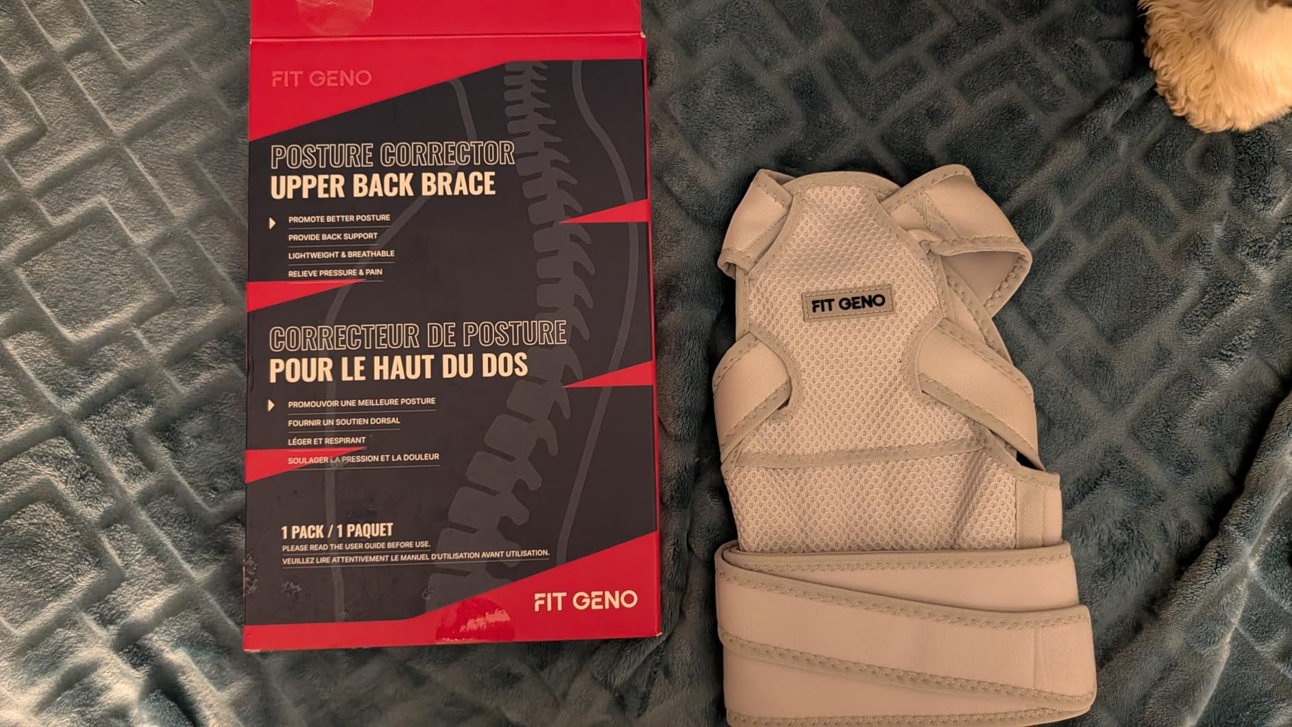 Fit Geno Posture Corrector for Women: Adjustable Lightweight Upper Back Brace for Neck Shoulder & Upper Back Pain Relief - Improve Posture Correct Hunchback Slouching Kyphosis Invisible Under Clothes (M/L Under Bust 32