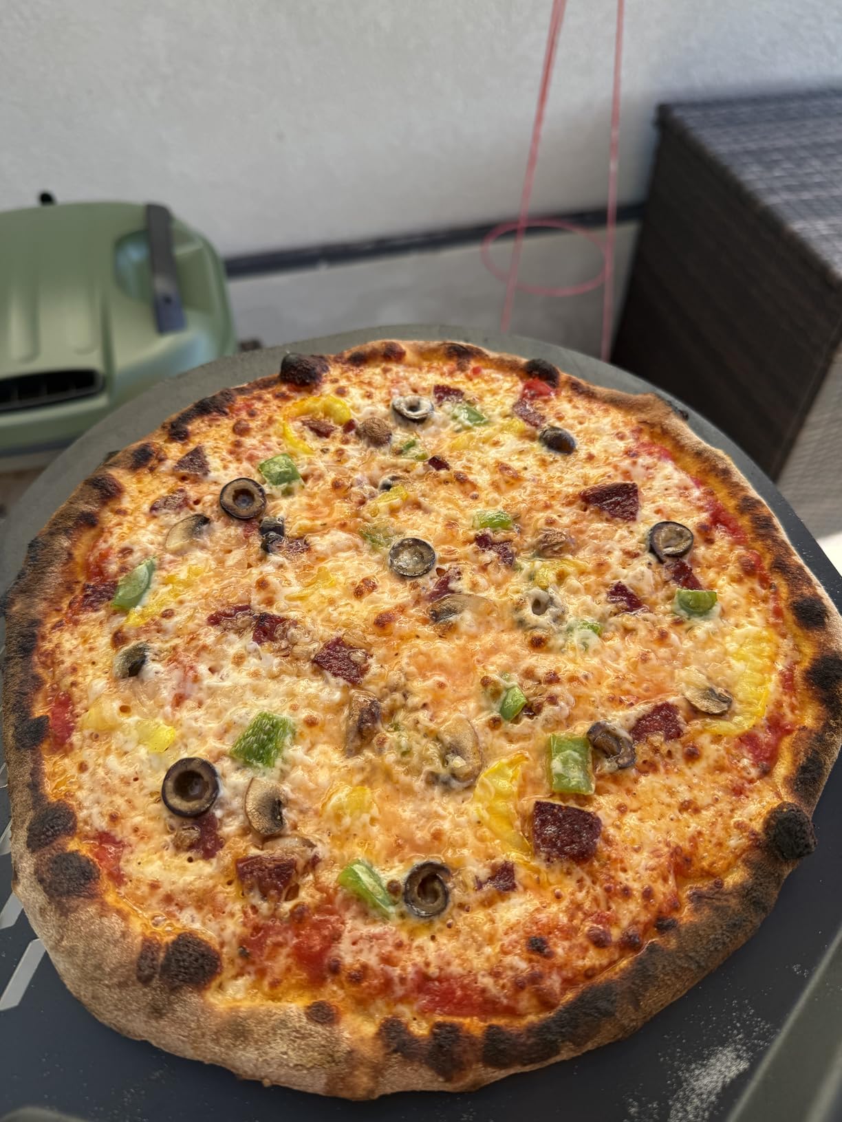 Gozney Tread Portable Pizza Oven, Olive, Makes 12 Inch Pizzas - Revolutionary Lateral Gas Burner, Quick Heat Up, Lightweight & Rugged Design customer photo 2