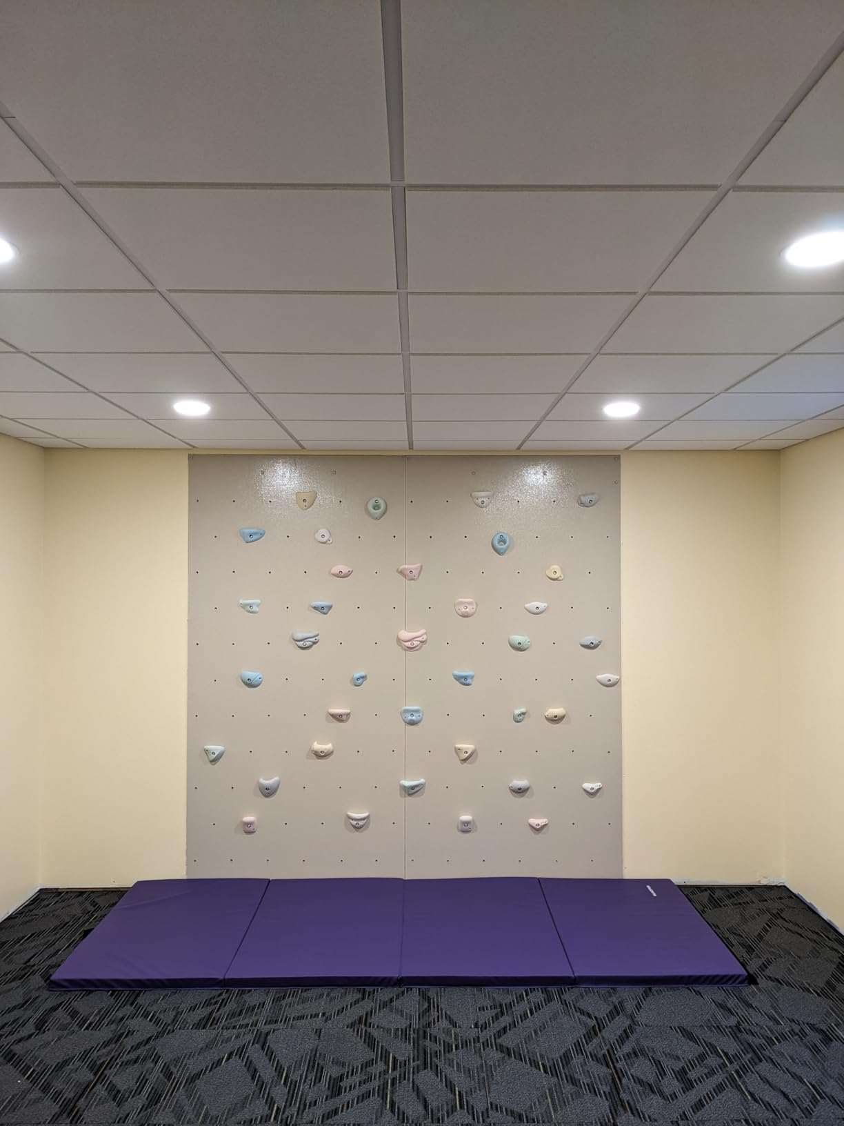 Premium Resin Rock Climbing Holds for Kids & Adults, Large Training Rock Climbing Wall Grips Indoor/Outdoor, Rock-Like Texture Climbing Wall with Mounting Hardware customer photo 2
