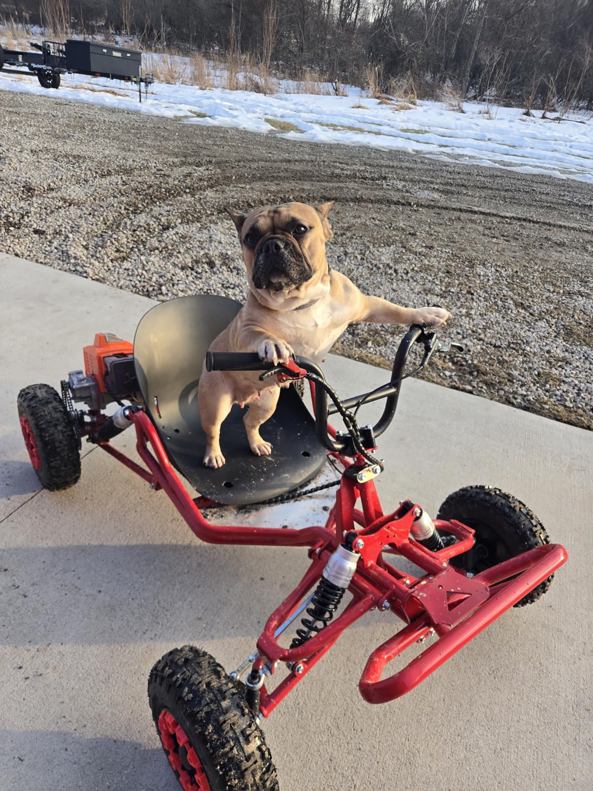 Zyliathor 212cc Gas Powered Go Kart for Teens & Adults, Off-Road Trail Kart with CVT Automatic, 420 Chain RWD, Up to 35 MPH, 4-Wheel Suspension, Rear Hydraulic Brake (Black) customer photo 1