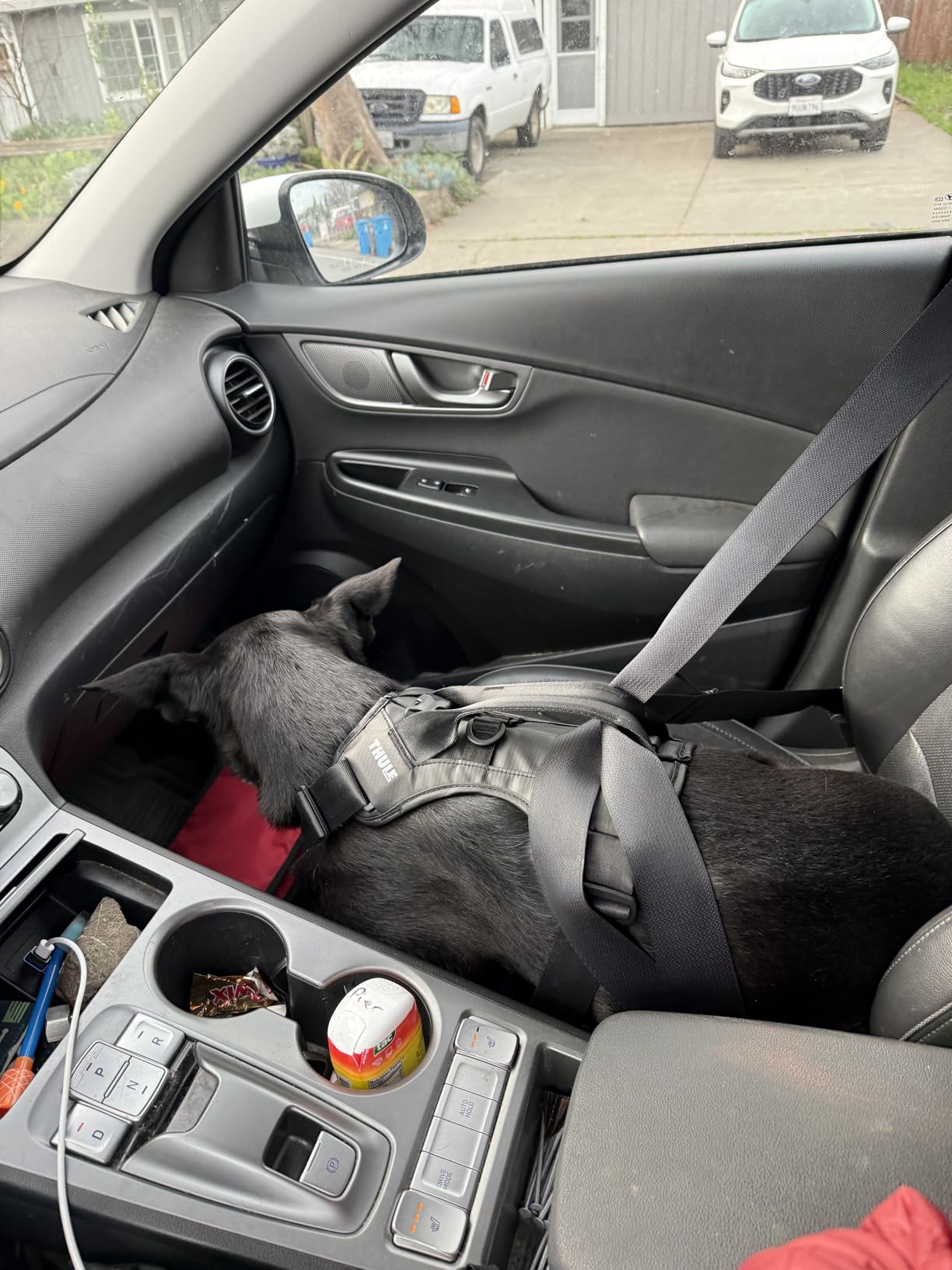 Thule Cappy Dog Harness S - Crash-Tested for Safety - Seatbelt passthrough - Adjustable & Easy to Clean - Padded Breathable mesh Panels - Leash Loop - Step-in Design customer photo 1