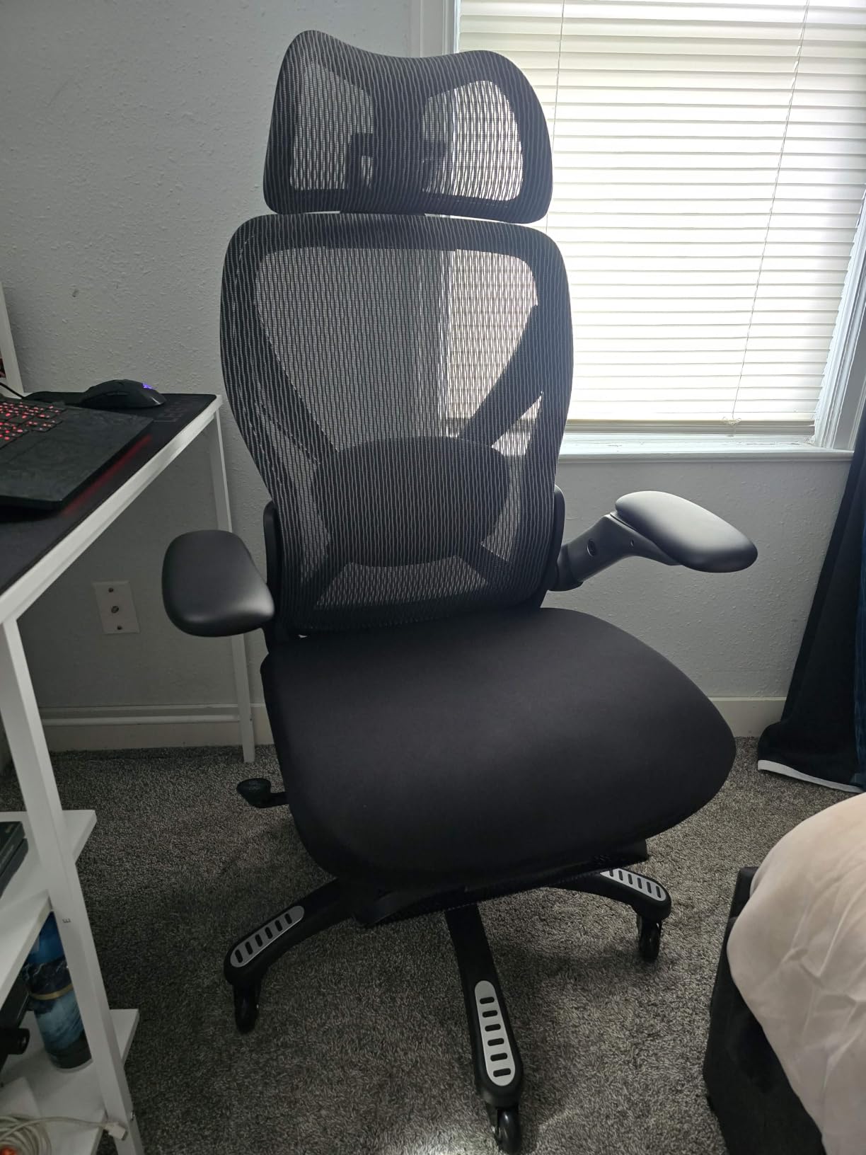 ELABEST X100 Ergonomic Office Chair with Footrest, Big and Tall Home Desk Chair with 5D Flip-Up Arms, Adjustable 3D Lumbar Support, High Back Rolling Computer Chair, Swivel Mesh Chairs (Foggy Morning) customer photo 1