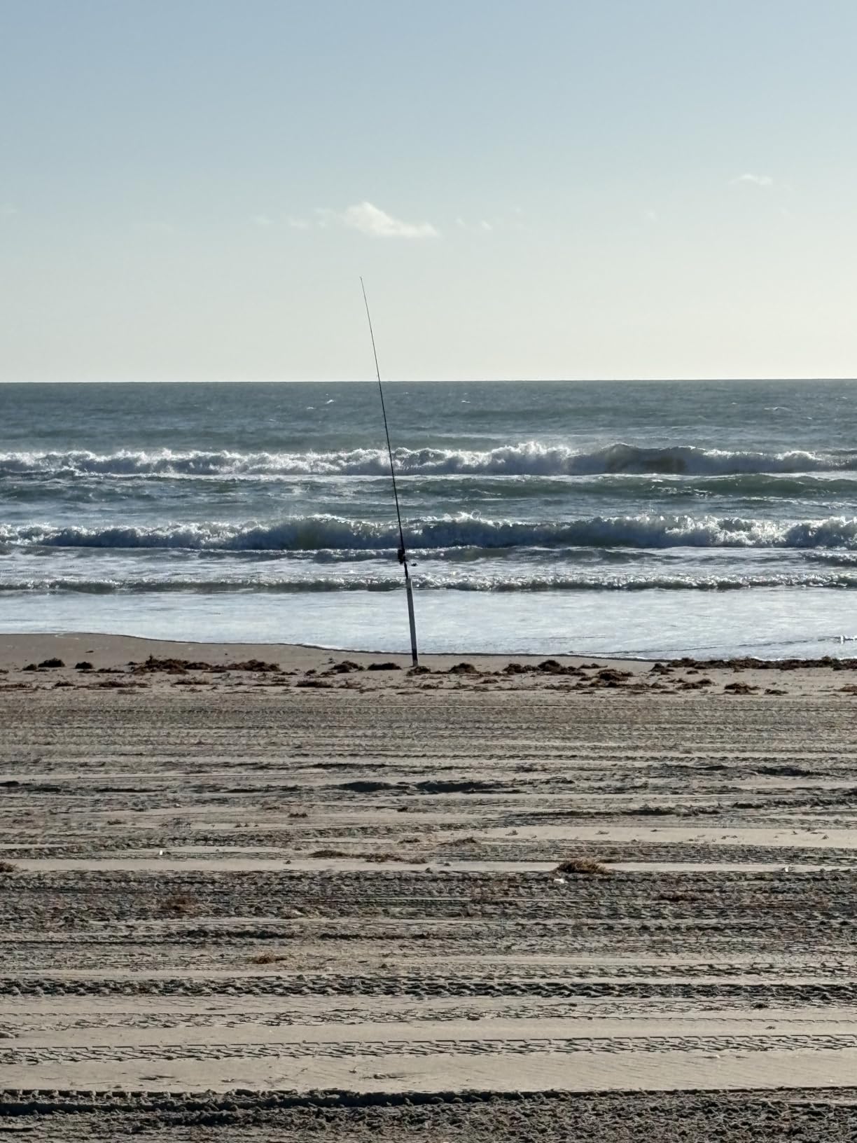 Sougayilang 3 Piece Surf Fishing Rod Combo Medium/Heavy Travel Spinning Rod with 5000 Size Reel Baitfeeder Combo(9'/10'/11') customer photo 2