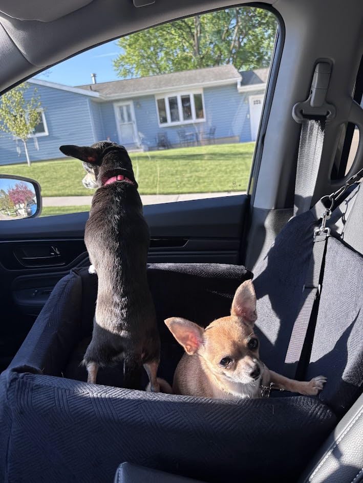 JOEJOY Dog Car Seats for Small Medium Dogs Under 35lbs, Dog Booster Seat with Detachable Washable Cover and Cushion, Memory Foam Pet Car Seat with Safety Belt and Storage Pockets (Black) customer photo 2