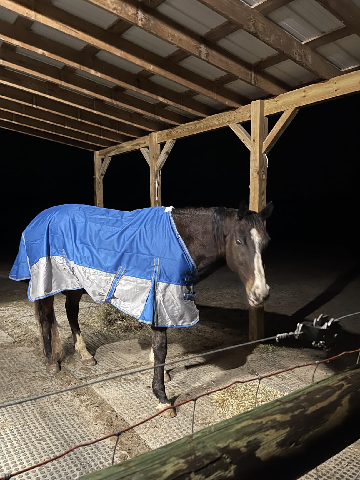 1200D Ripstop Waterproof Breathable Horse Blanket (200g Fill), Medium Weight Warm Winter Turnout, Thermal Protection for Cold & Snow Greenblack 72
