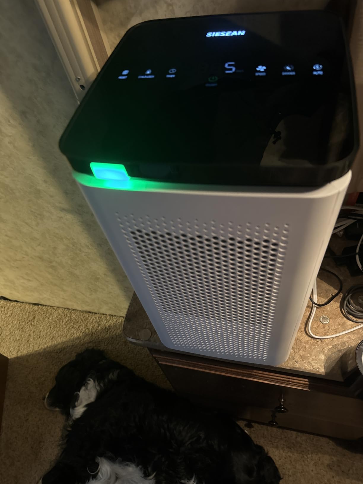 Air Purifiers for Home Large Rooms up to 3500 Ft², H13 True HEPA 0.1 Micron 99.97% Filtration with Carbon Filter, 235 CFM CADR, for Pollen, Pet Odor, Smoke, VOCs, 30dB Sleep Mode, PM2.5 Display customer photo 2
