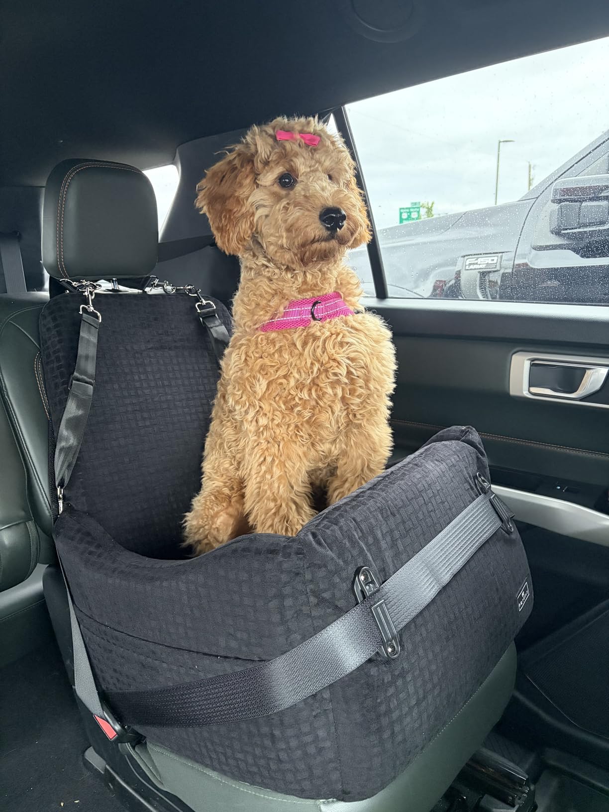 PETSFIT Dog Car Seat for Small/Medium Dogs Up to 35 lbs - Patented Safety System, 5
