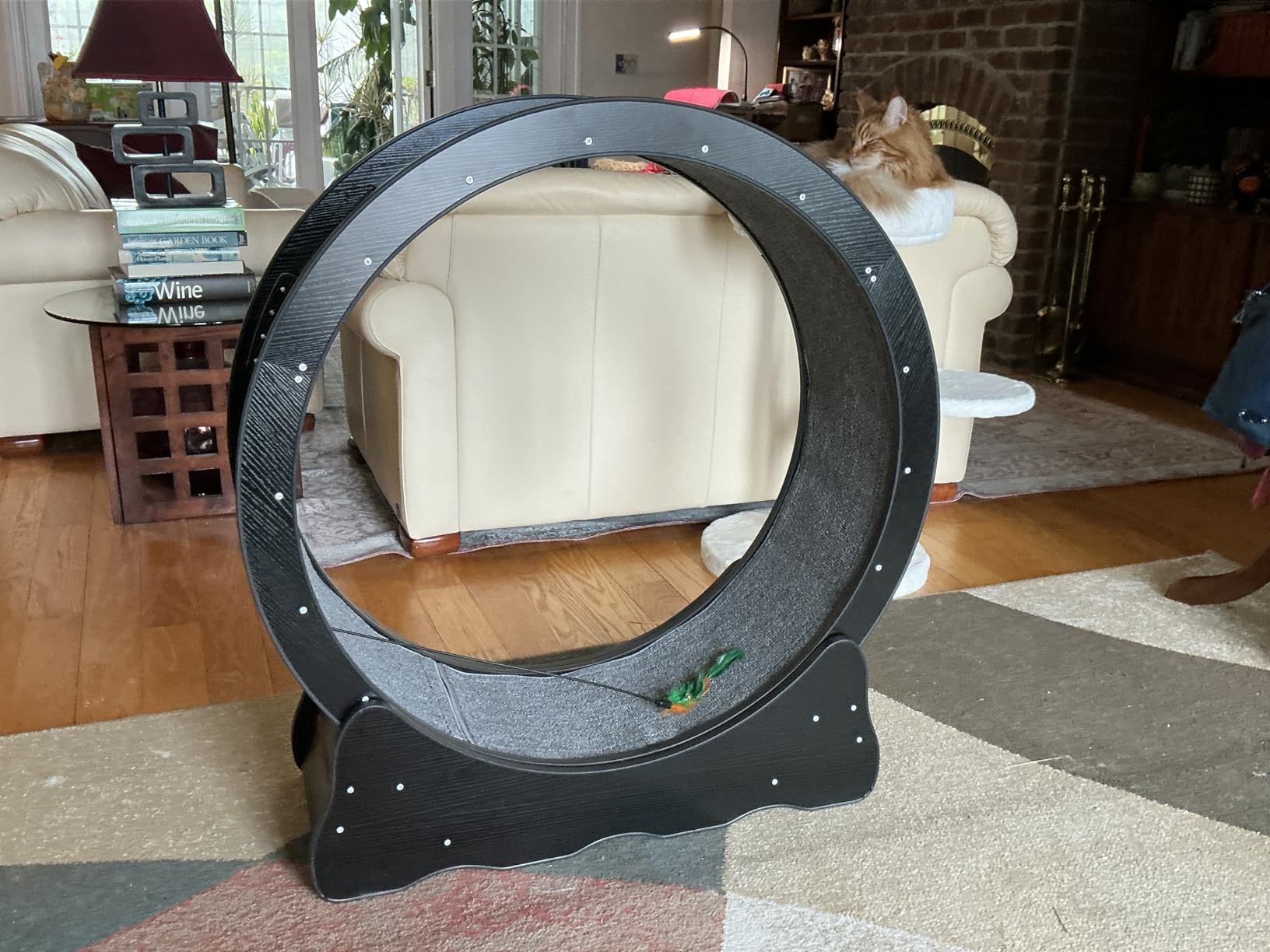 Cat Exercise Wheel - 35.4 Inch Wooden Low Noise Cat Treadmill for Indoor Cats, Detachable Carpet & Enhanced Base for Fitness, Weight Loss Size M Black customer photo 1