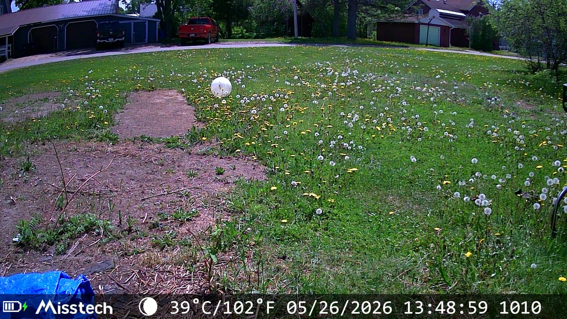 Misstech 4K UHD Solar Trail Camera, Outdoor Wildlife Cameras for Yard Monitoring, 0.1s Fast Motion-Activated to Record, 64MP/4K Clear Night Vision, No Monthly Fee, App Control, IP66, Local Storage customer photo 2