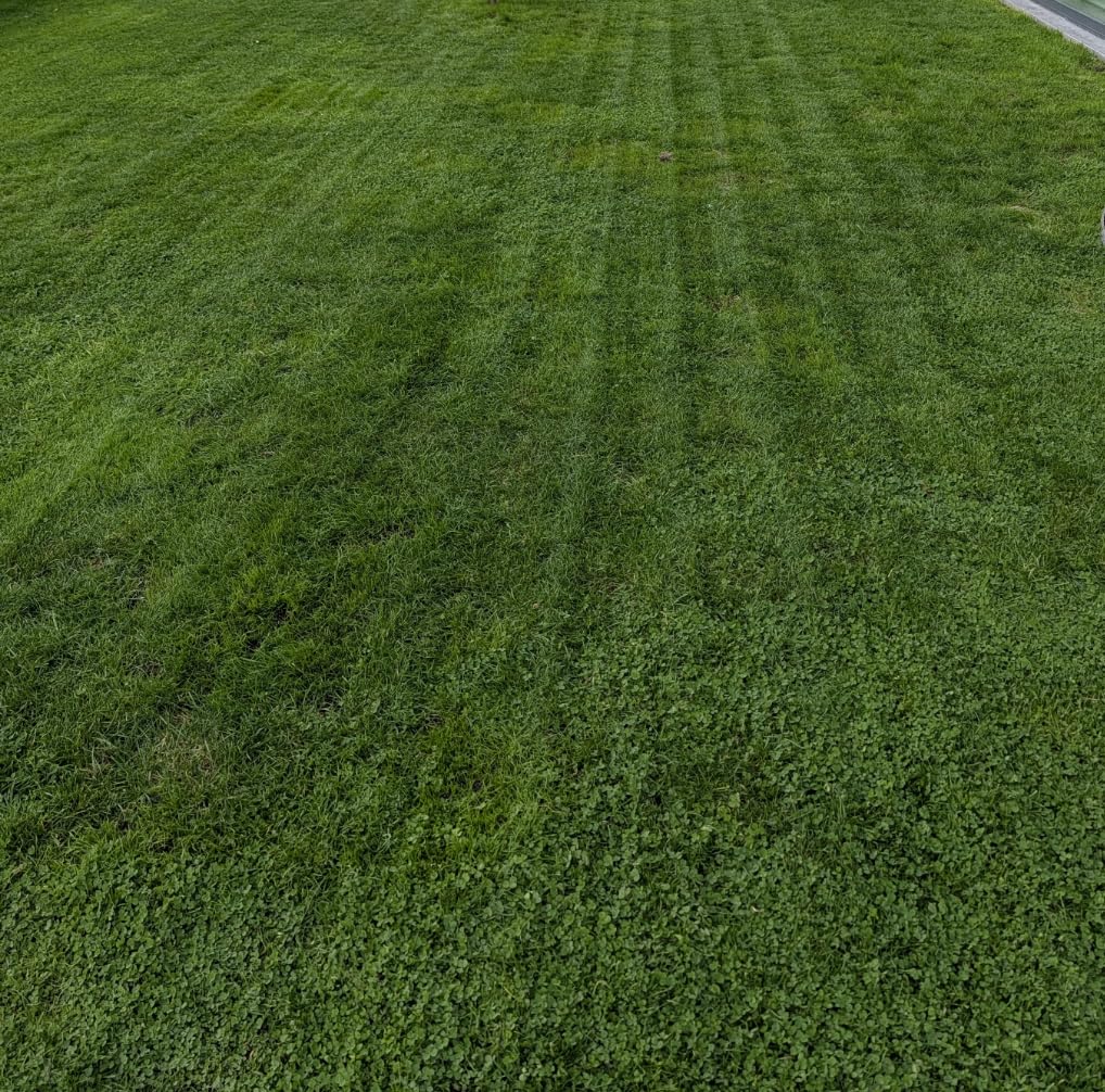 MOVA LiDAX Ultra 3000 AWD Robot Lawn Mower Wire Free RTK Free for up to 0.75 Acre, Dual Maps, 360 3D LiDAR & AI Dual Vision Mapping, Robotic Mower with 4G, for 80% Slopes customer photo 1