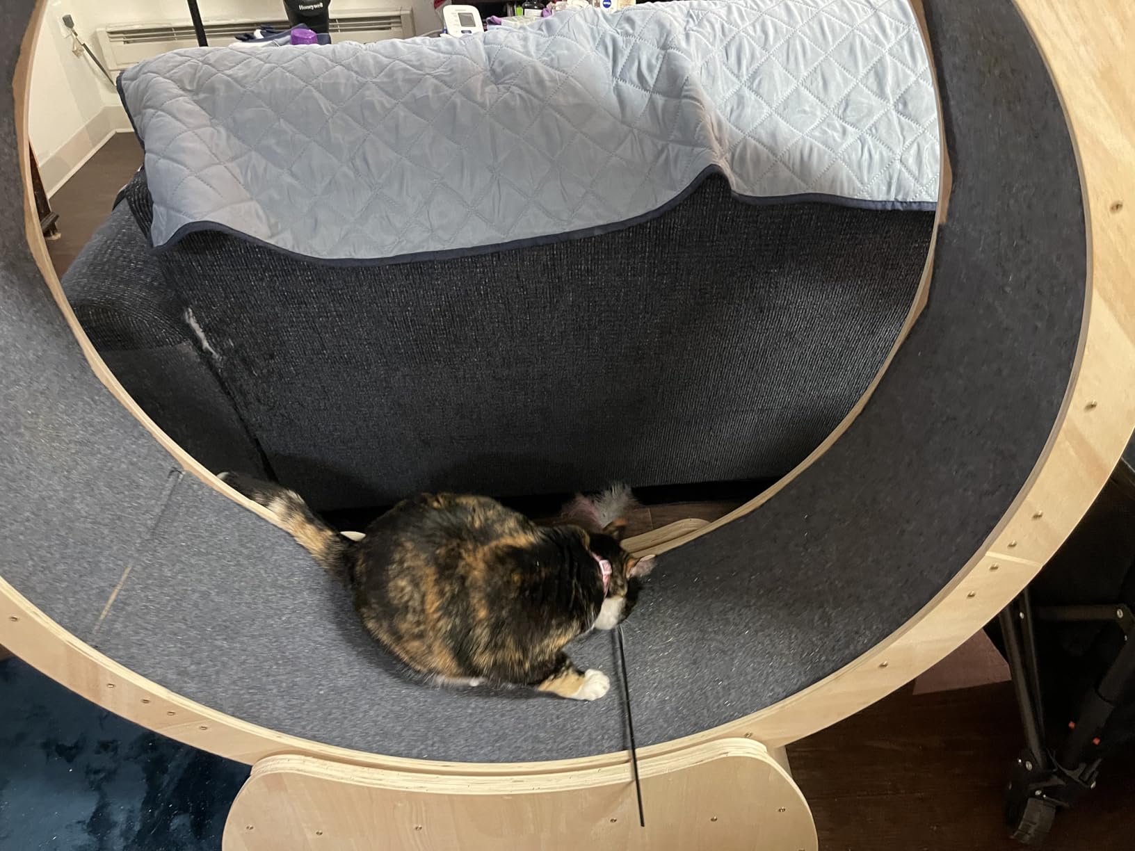 Cat Exercise Wheel for Indoor Cats with 2 Replacement Carpets, 43.3in Large Quiet Cat Running Wheel for Maine Coon & Active Cats Supports Up to 25 lbs, Wooden Cat Treadmill Exercise Wheel customer photo 1