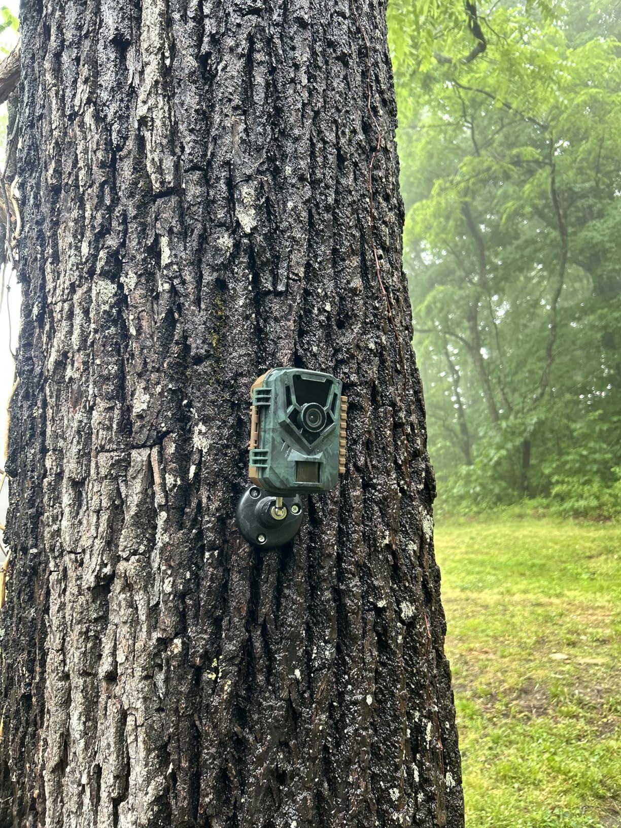 Trail Camera 4K 64MP with 5000mAh Rechargeable Battery 64GB Micro Memory Card IP67 Waterproof, Night Vision, Motion Activated, Solar Powered Wildlife Hunting Camera Outdoor customer photo 2