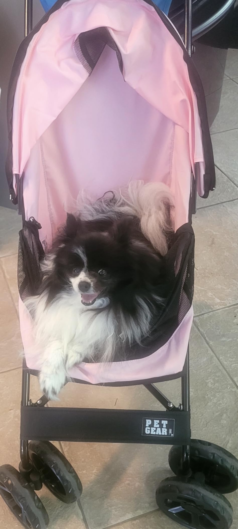 Pet Gear Travel Lite Plus Stroller, Compact, Easy Fold, No Assembly Required, Large Wheels for Cats and Dogs up to 15 pounds, Himalayan Salt customer photo 1