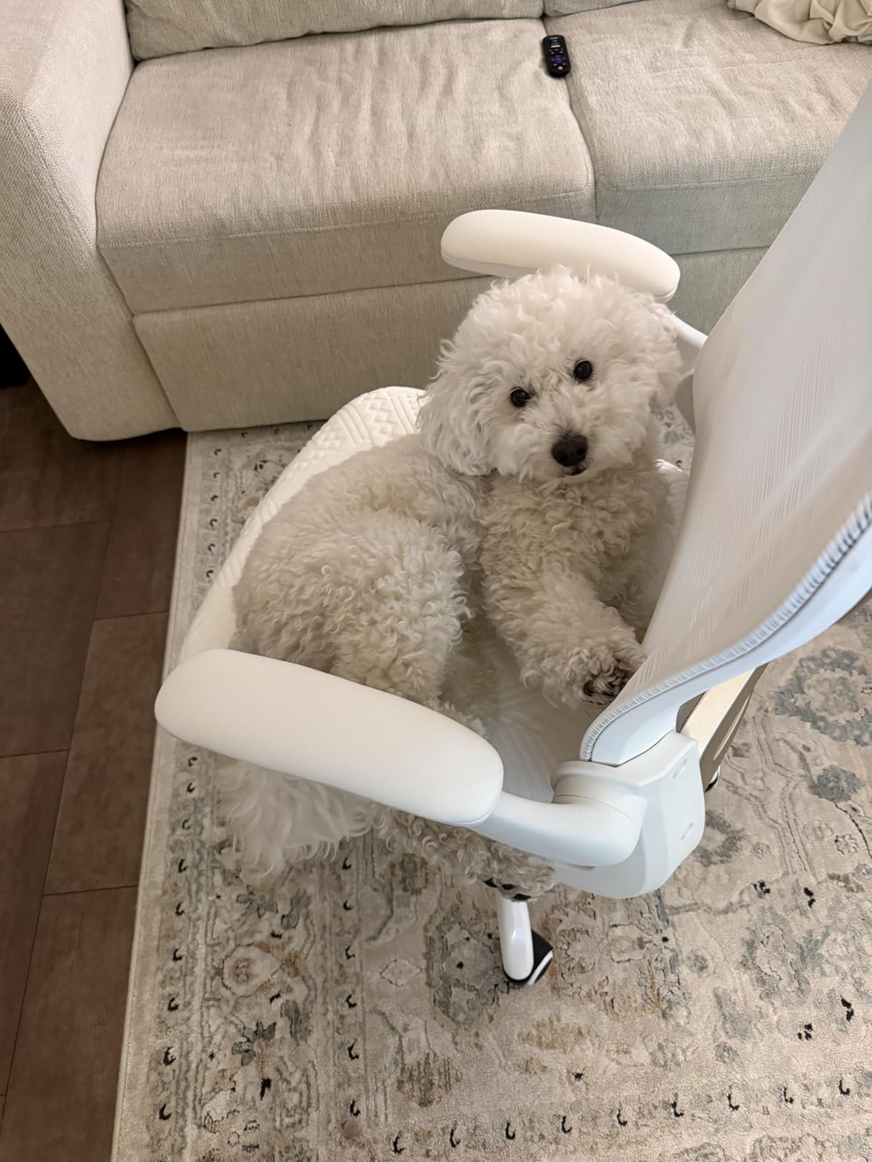 Office Desk Chair with Ergonomic Lumbar Support, Extra-Thick Seat Cushion, Flip-up Arms, Breathable Mesh Back, Computer Task Chair for Home Office customer photo 2