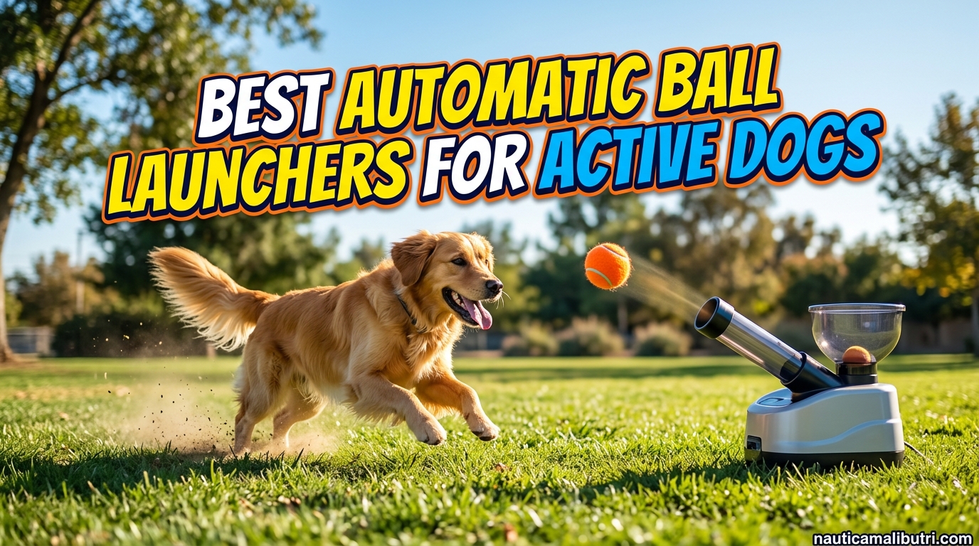 Best Automatic Ball Launchers for Active Dogs