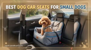 Best Dog Car Seats for Small Dogs