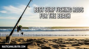 Best Surf Fishing Rods for the Beach