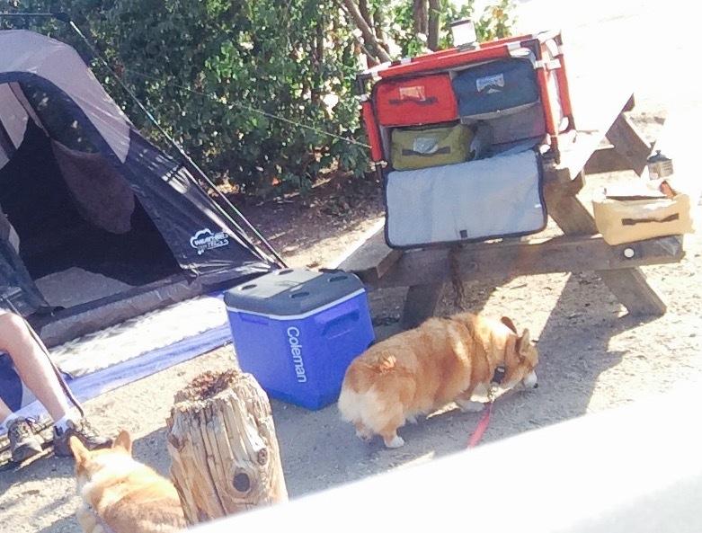Camp Chef Sherpa Camp Table & Organizer with Table Top customer photo 1