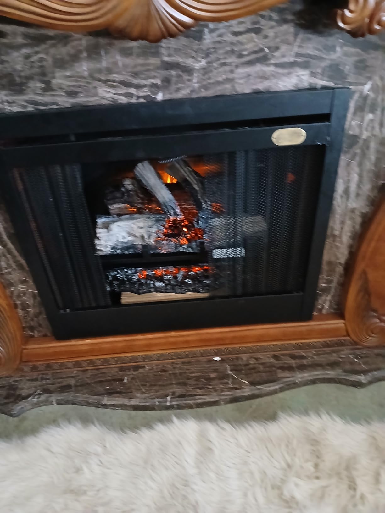 Napoleon Woodland 24 - NEFI24H - Electric Log Set, Electric Fireplace, 24-in, Hand Painted Realistic Logs, High Intensity LED Lights, Realistic Fire, Glowing Logs, Fireplace Insert, Remote Included customer photo 1