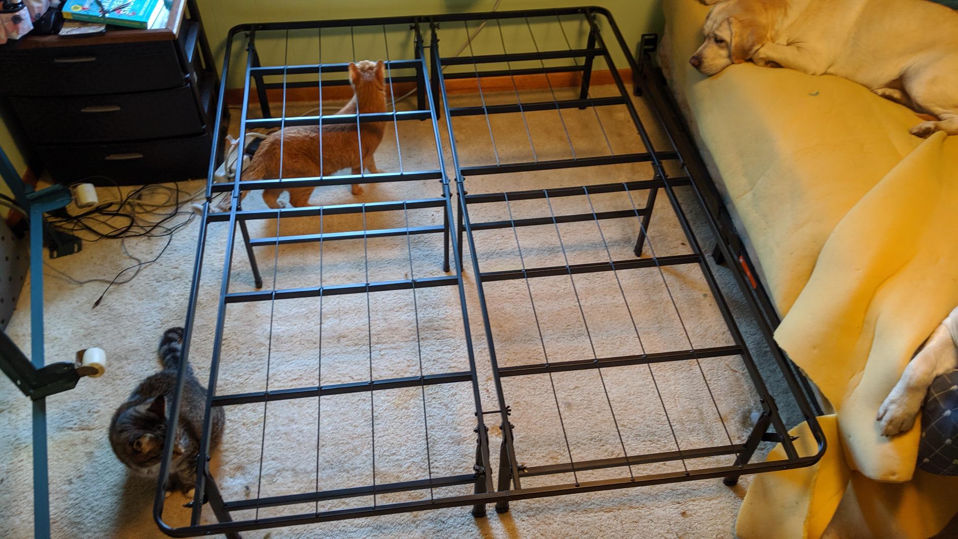 Zinus SmartBase Heavy Duty Mattress Foundation, 18 Inch Metal Platform Bed Frame, No Box Spring Needed, Sturdy Steel Frame, Underbed Storage, Full customer photo 2