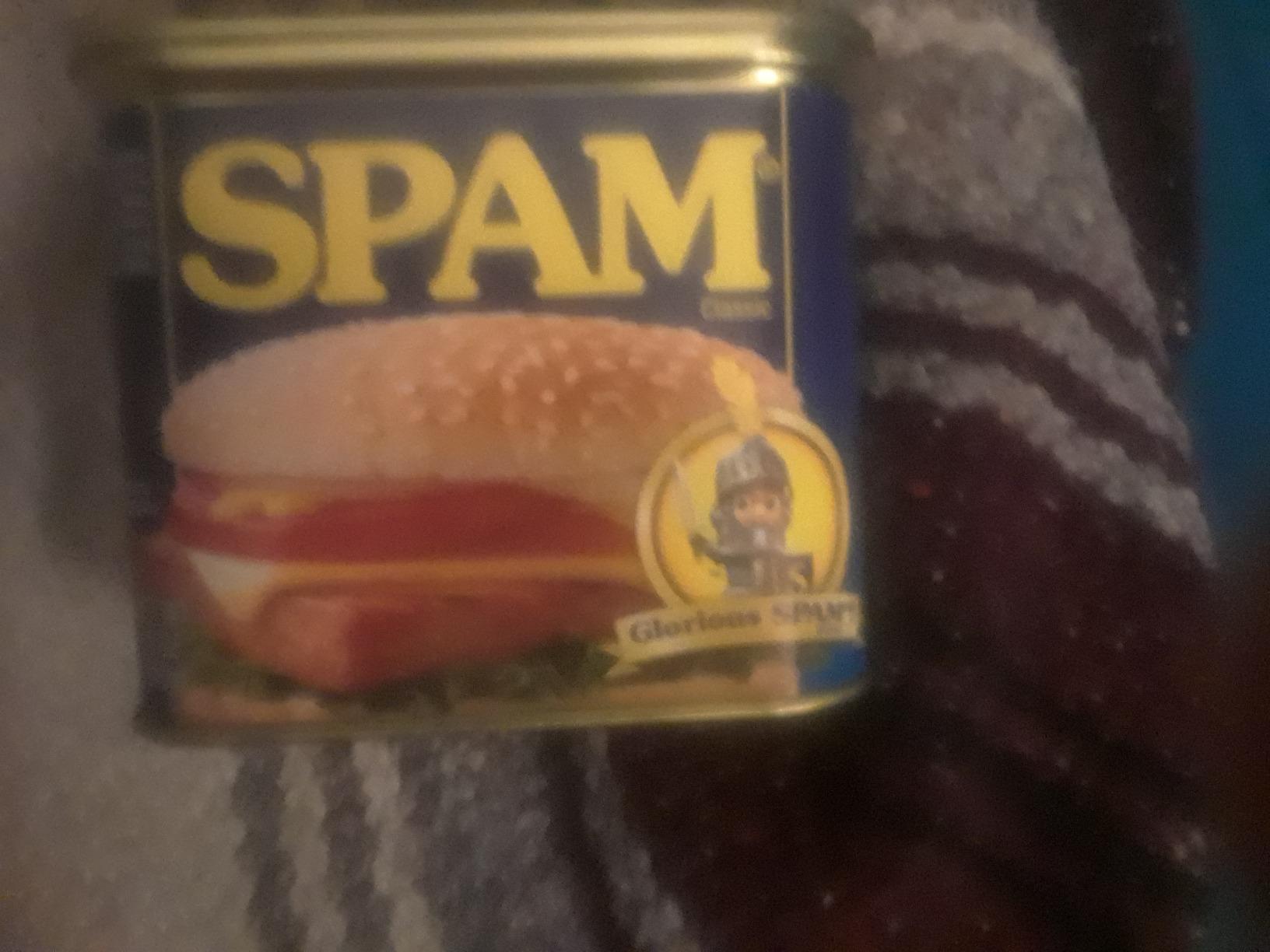 BigMouth Spam Diversion Can Safe, Hidden Stash Container for Valuables, Realistic Weighted Secret Compartment customer photo 1