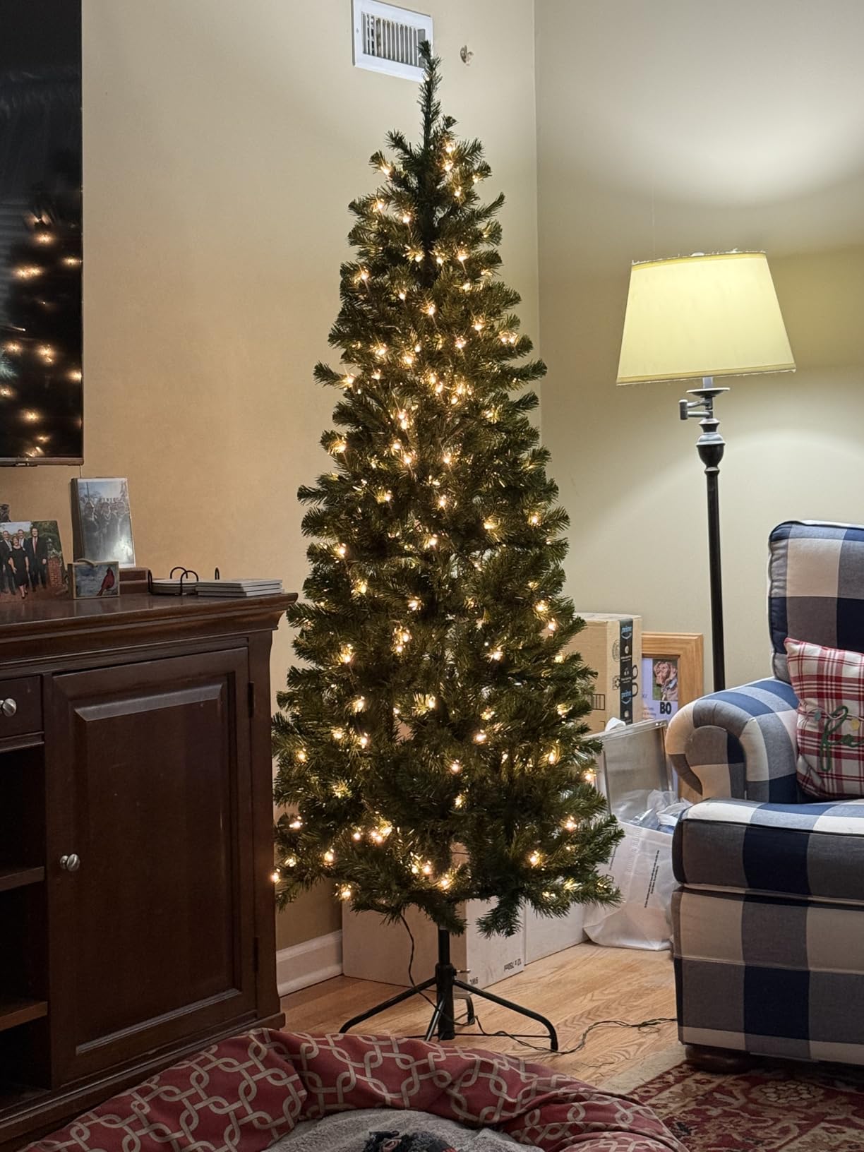 National Tree Company 6 ft Pre-Lit North Valley Spruce Slim Artificial Christmas Tree, 250 Warm White LED Lights, 636 Tips customer photo 1