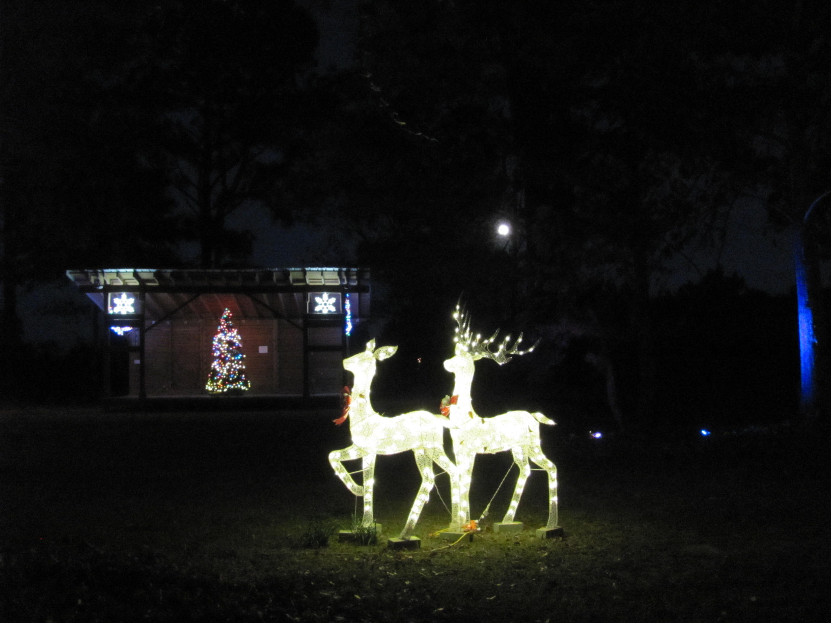 3-Piece White Fabric Reindeer Family - Lighted Deer Set - 210 Lights 52