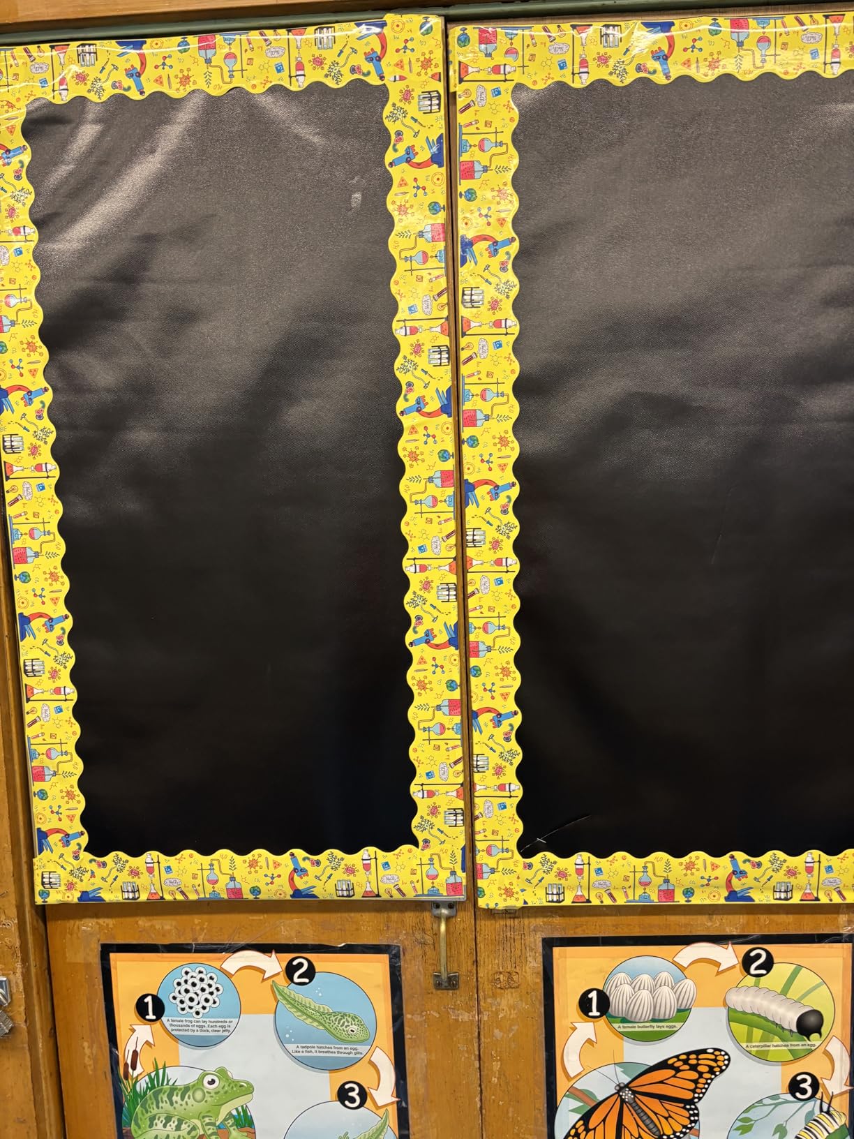 Teacher Created Resources Black Better Than Paper Bulletin Board Roll (TCR77314) customer photo 2