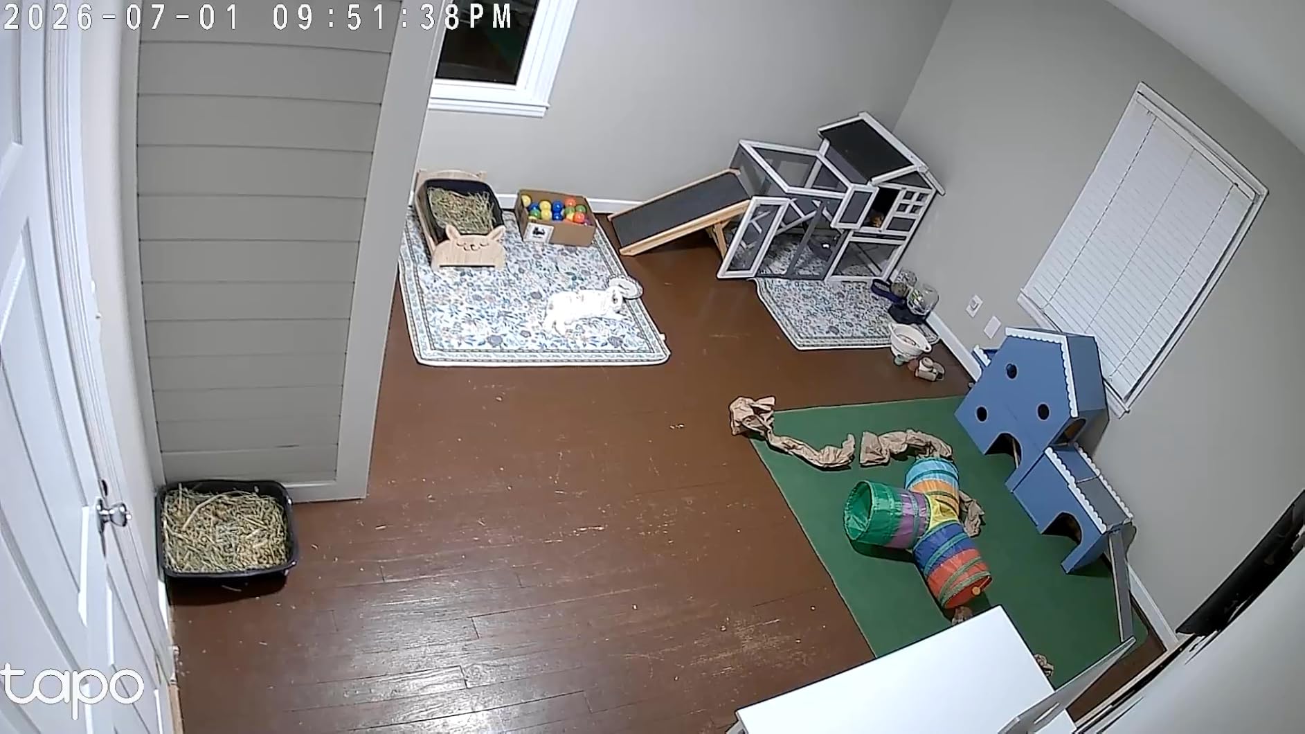 TP-Link Tapo 1080P Indoor Security Camera for Baby Monitor, Dog Camera w/Motion Detection, 2-Way Audio Siren, Night Vision, Cloud & SD Card Storage, Works w/Alexa & Google Home (Tapo C100) customer photo 1