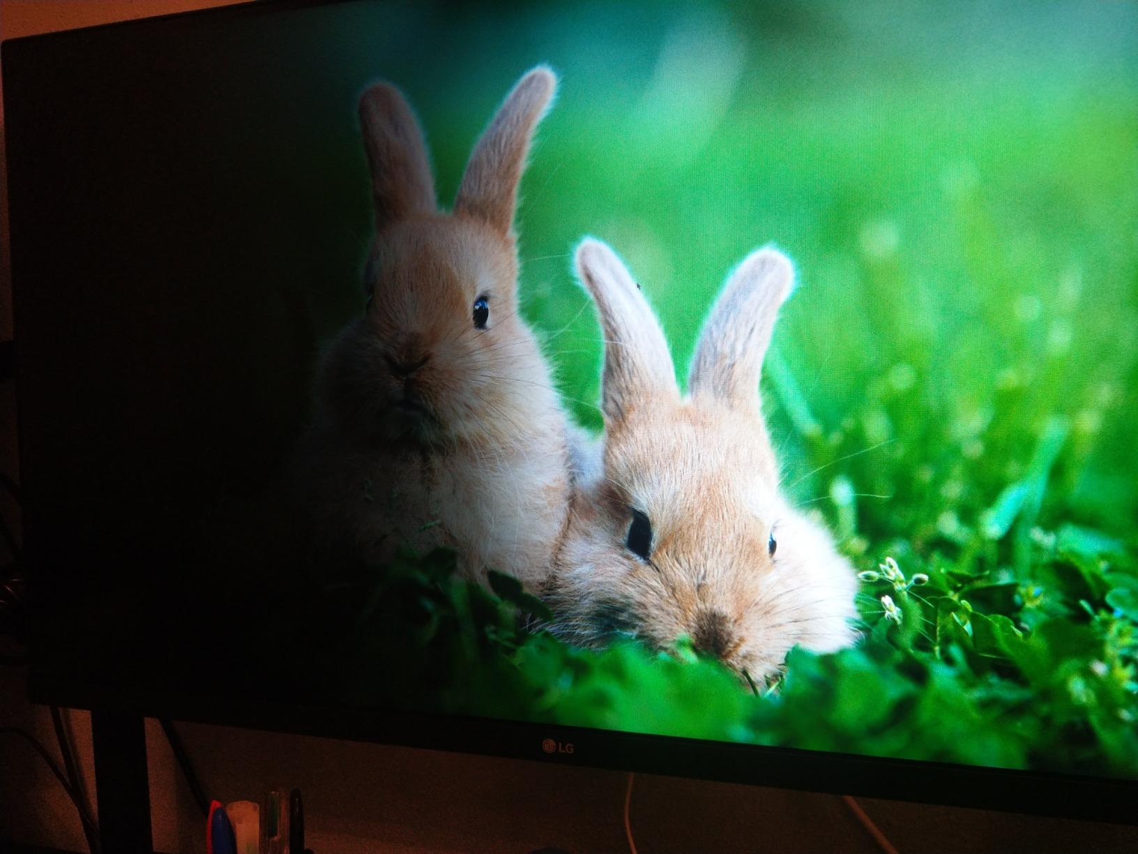 LG 32UN650-W Monitor 32
