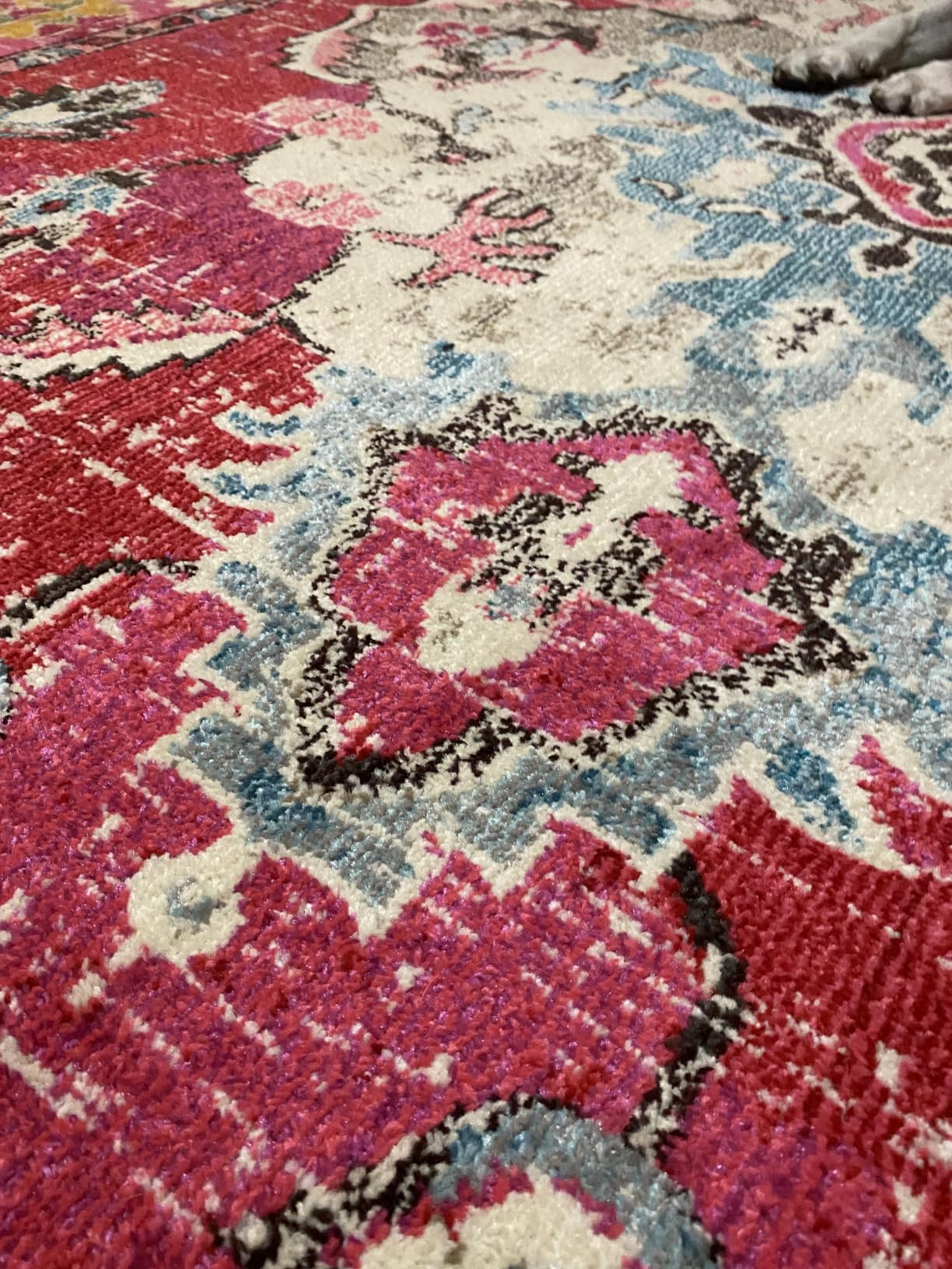 SAFAVIEH Monaco Collection Area Rug - 9' x 12', Light Blue & Ivory, Non-Shedding & Easy to Clean, Distressed Medallion Design, Ideal for Living Room, Bedroom, Dining Space (MNC243K) customer photo 2
