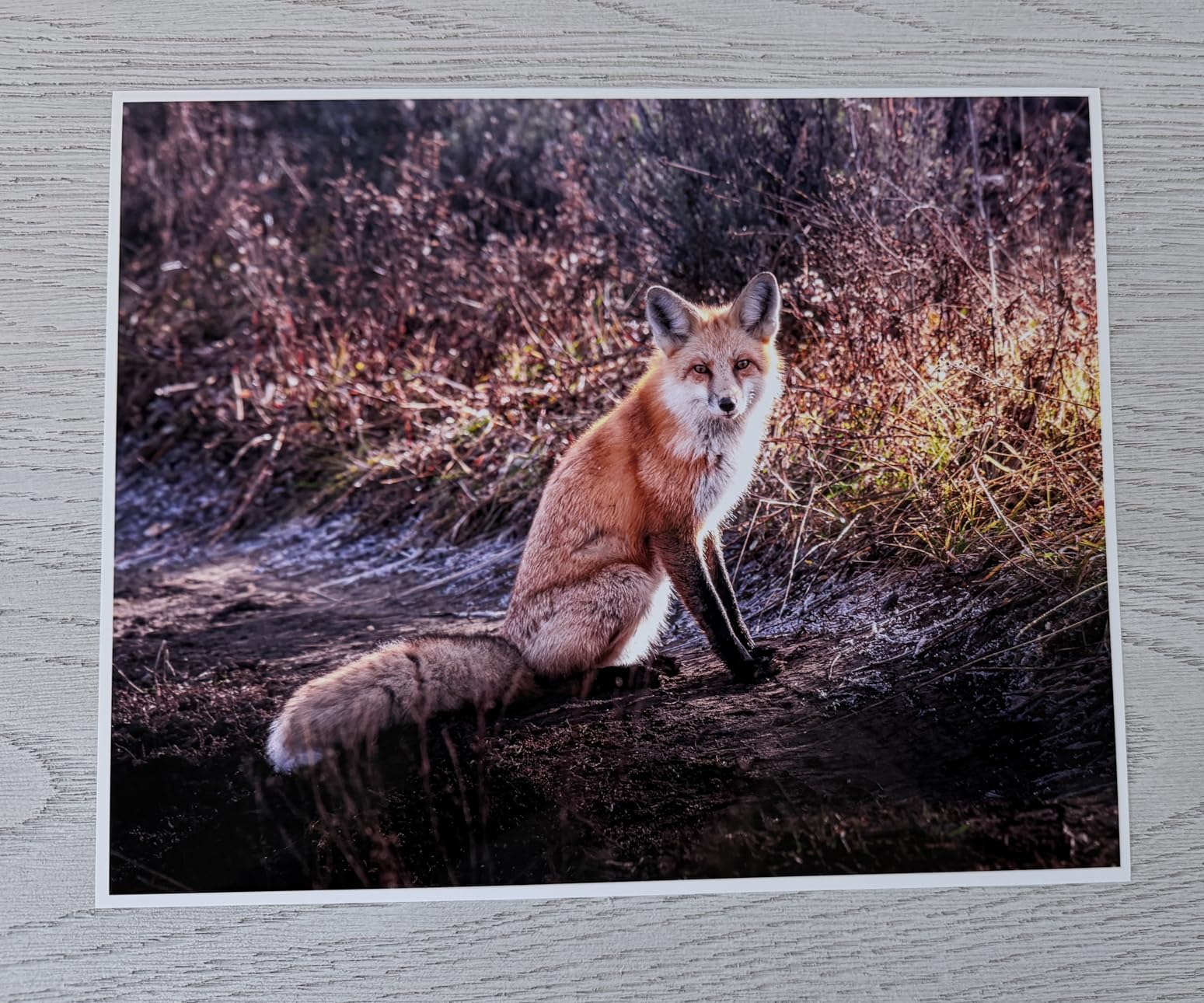 Epson EcoTank Photo ET-8550 Wireless Wide-Format All-in-One Tank Printer | Cartridge-free 6-color wide-format photo print, scan, copy; up to 16 ppm, 13 x 19 in.; ideal for creators and home studios customer photo 2