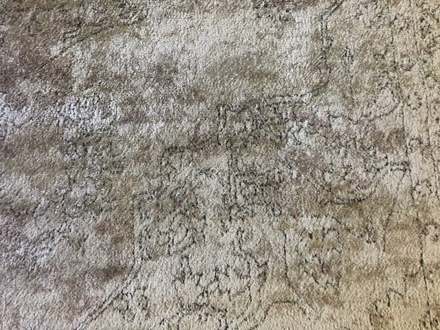 Rugs.com Oregon Collection Rug - 10' x 13' Ivory Low-Pile Rug Perfect for Living Rooms, Large Dining Rooms, Open Floorplans customer photo 1