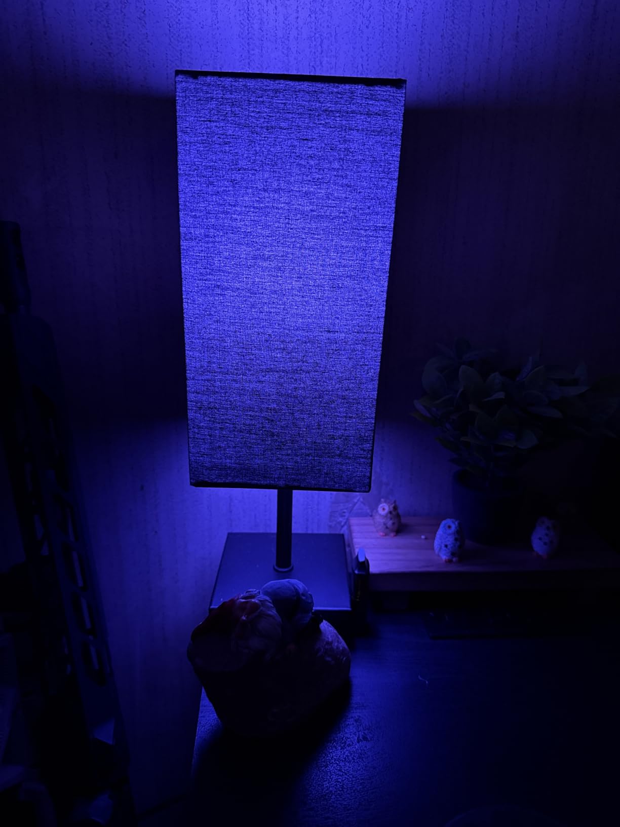 Table Lamp for Bedroom, 3 Way Dimmable Touch Bedside Lamp, Small Lamp with 2 USB C+A Charging Ports, Black Nightstand Lamps for End Table, Living Room, Desk, Bulb Included customer photo 1