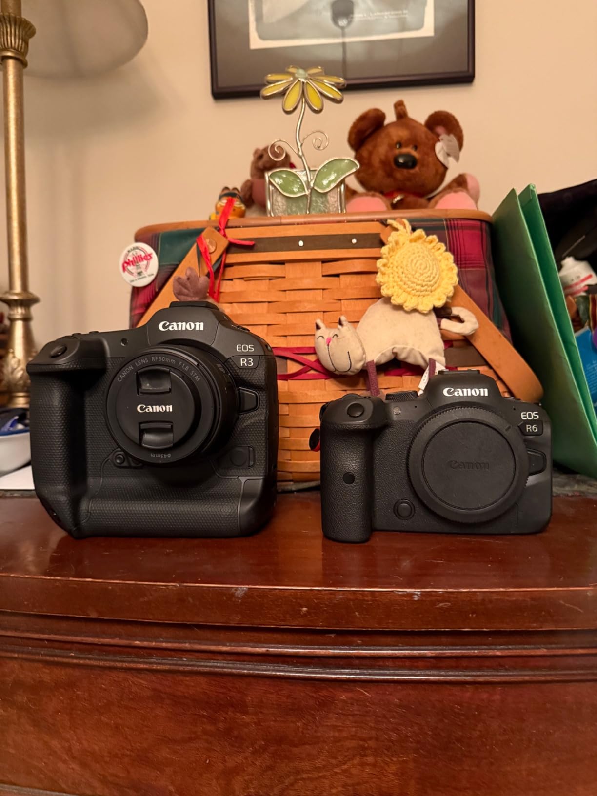 Canon EOS R3 Mirrorless Camera (Body Only), Full-Frame, 6K 60p RAW, 4K 120p Video, 24.1 MP customer photo 2