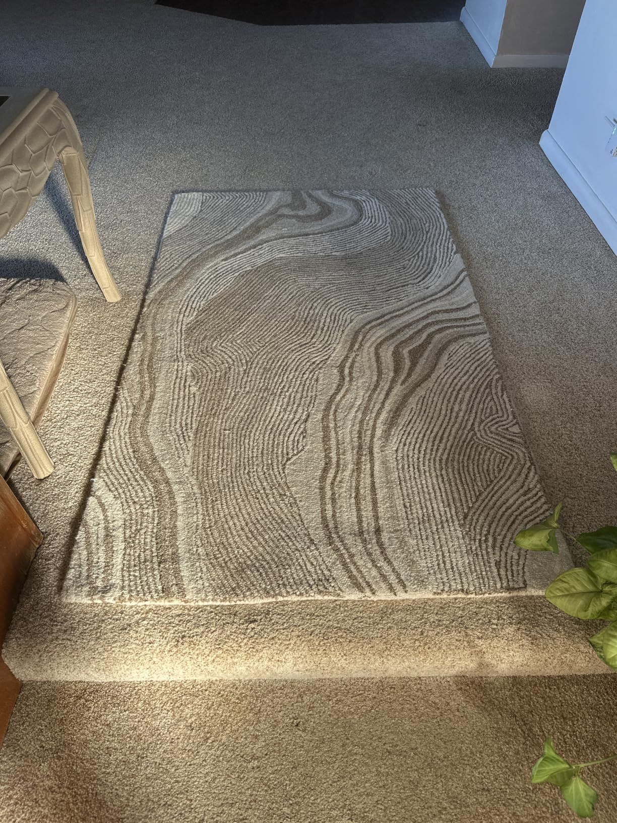 SAFAVIEH Fifth Avenue Collection Area Rug - 9 x 12 Beige and Ivory Handmade Mid-Century Modern Abstract New Zealand Wool Ideal for High Traffic Areas in Living Room Bedroom (FTV121B) customer photo 1