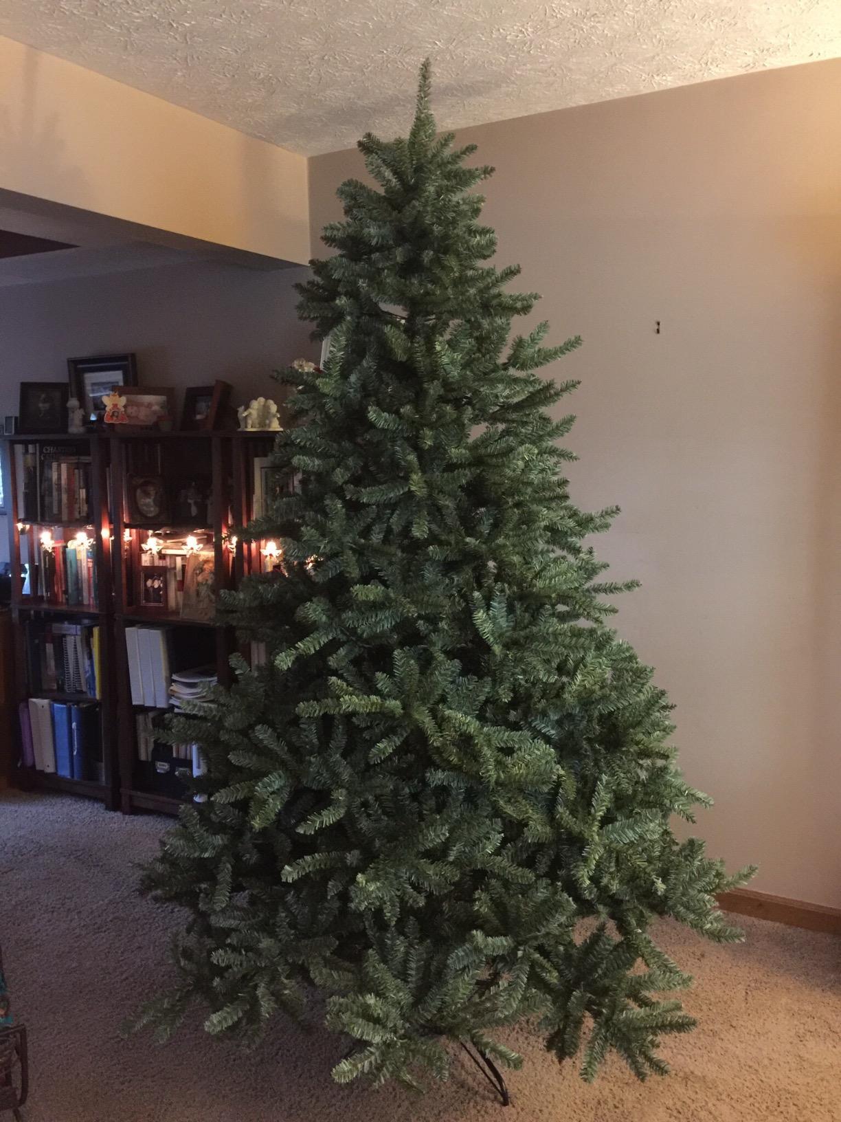 Balsam Hill 9ft Pre-Lit Classic Blue Spruce - Artificial Christmas Tree with 1500 LED Clear Lights, Easy Plug Technology, Premium Stand for Indoor Holiday Decorating customer photo 1