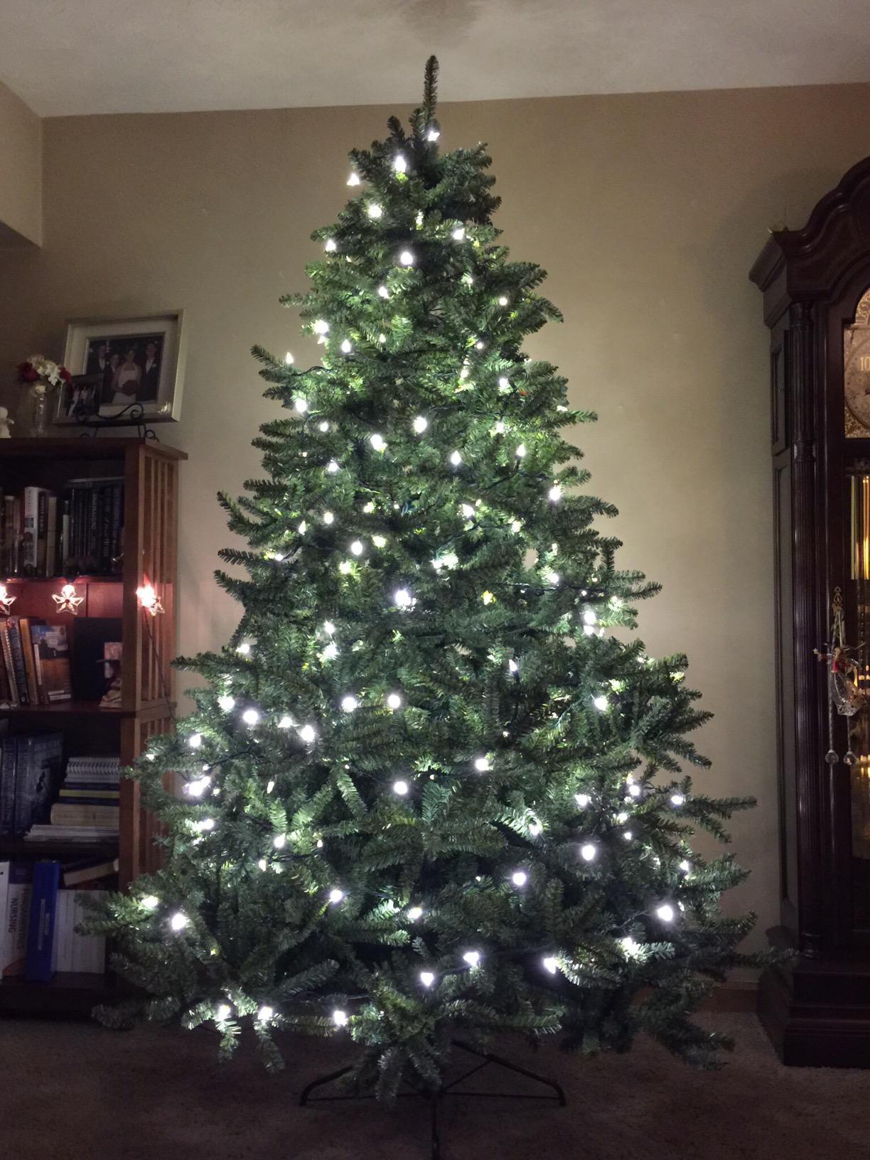 Balsam Hill 9ft Pre-Lit Classic Blue Spruce - Artificial Christmas Tree with 1500 LED Clear Lights, Easy Plug Technology, Premium Stand for Indoor Holiday Decorating customer photo 2