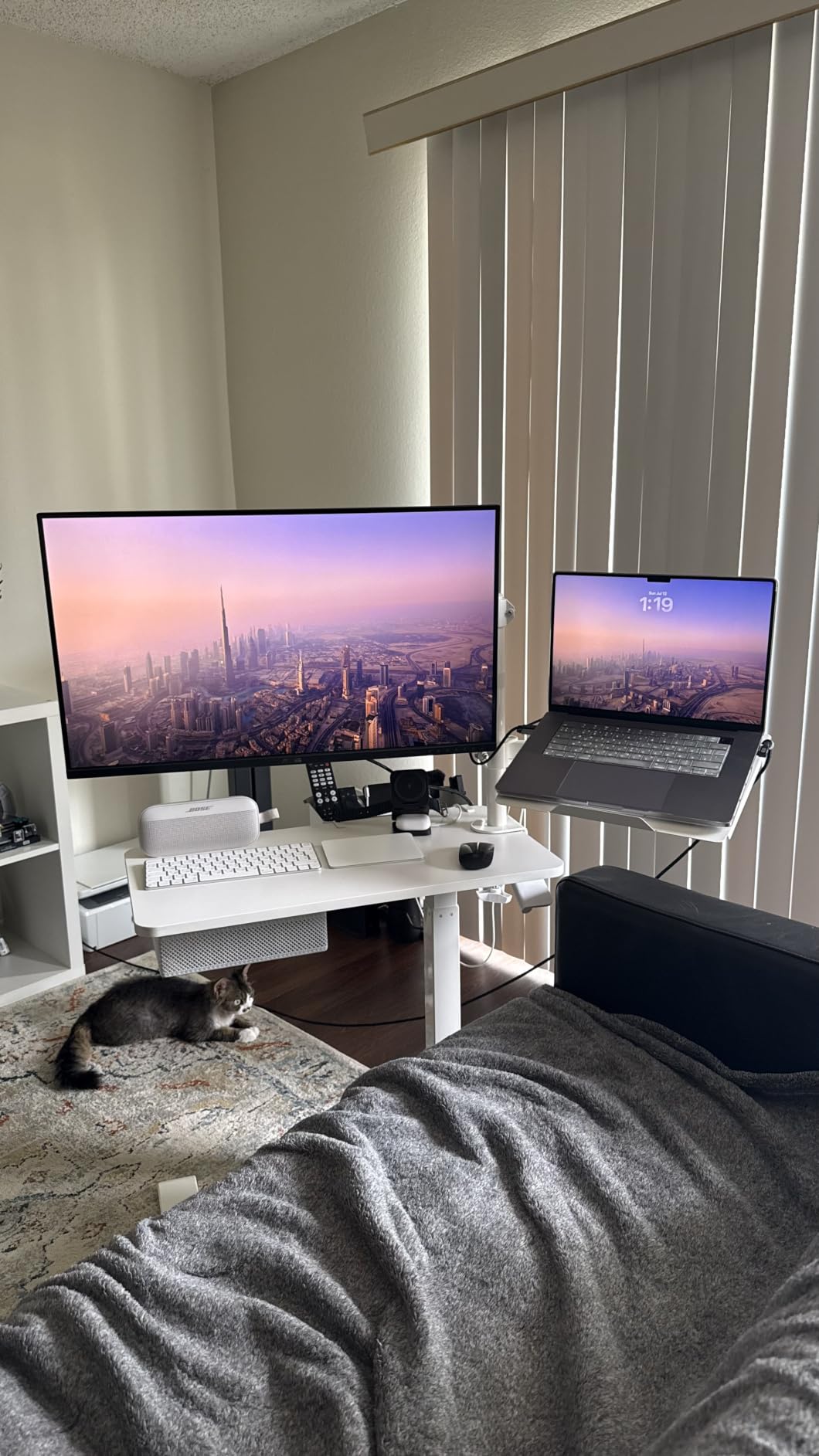 ASUS ProArt PA329CRV 32 Inch 4K DCI-P3 USB-C Professional Monitor for Mac customer photo 2